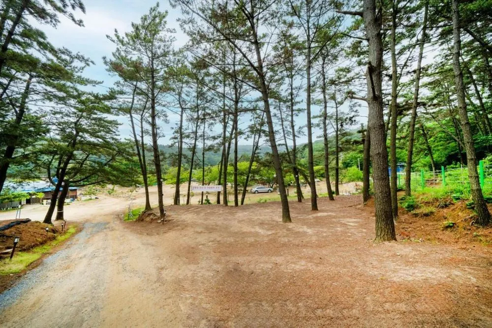 Bakripo Badawa Padosori Camping pension