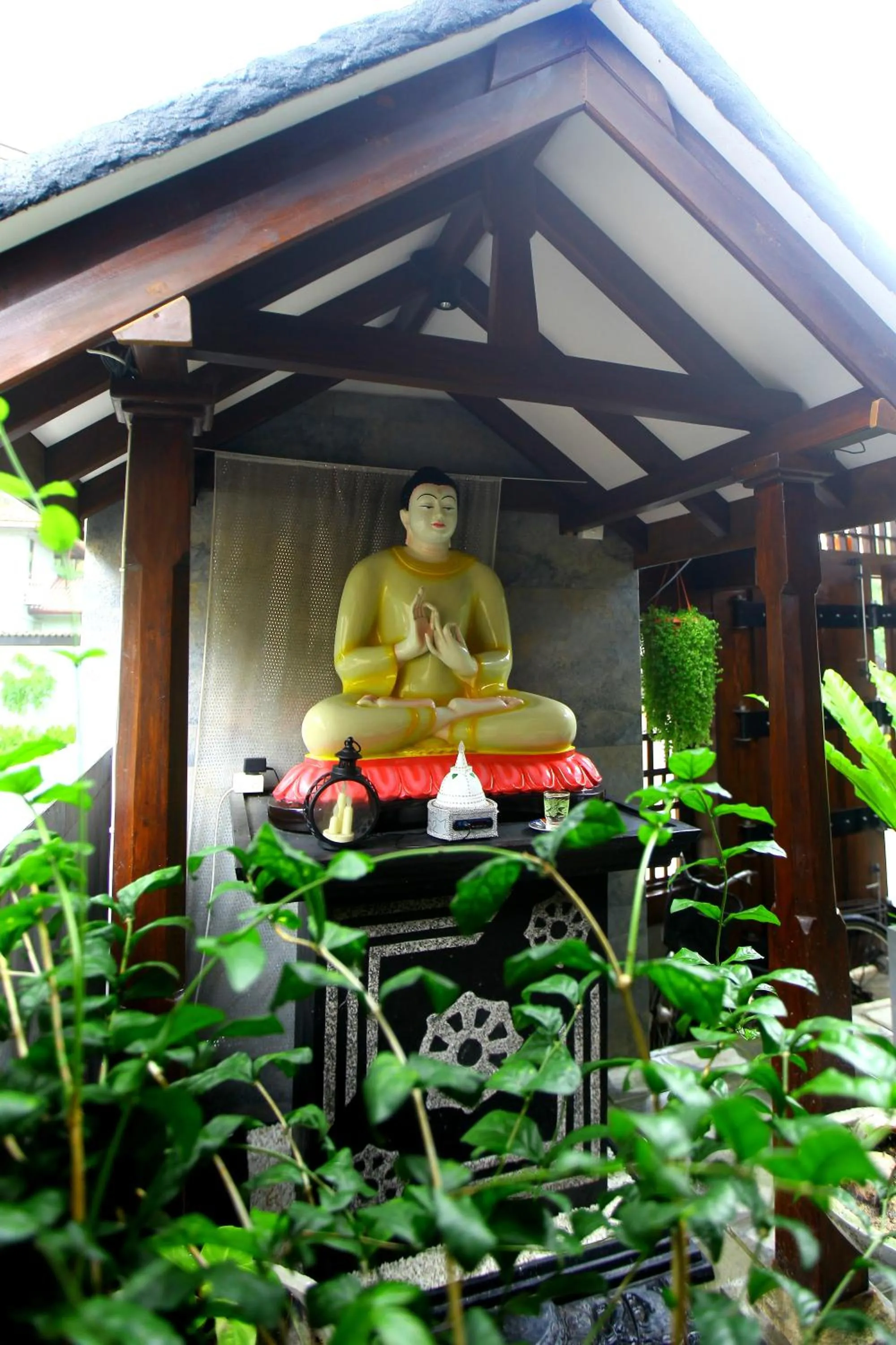 Garden view in Sakura Surf Lanka Hotel & Restaurant