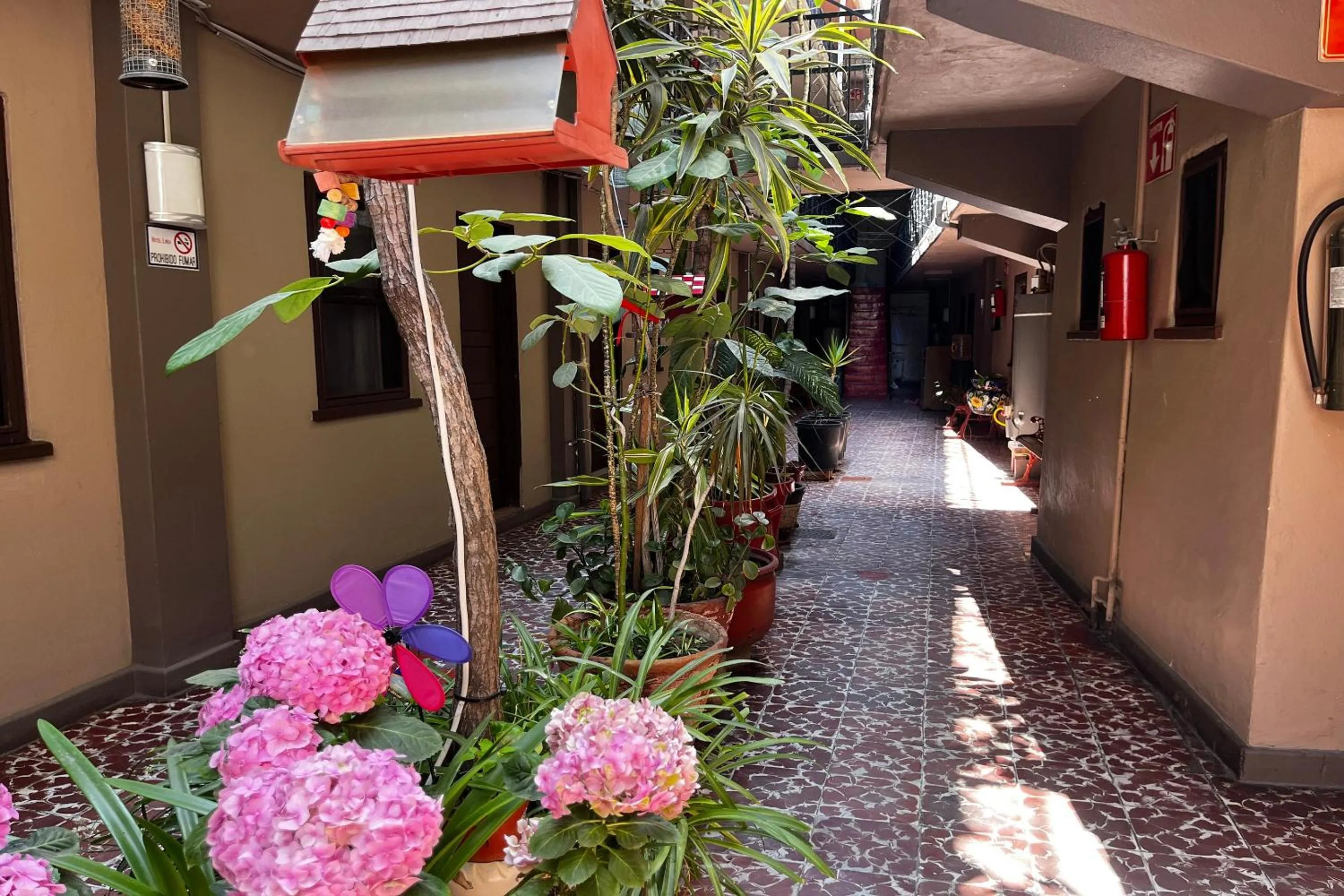 Lobby or reception in OYO Hotel Linda Tijuana