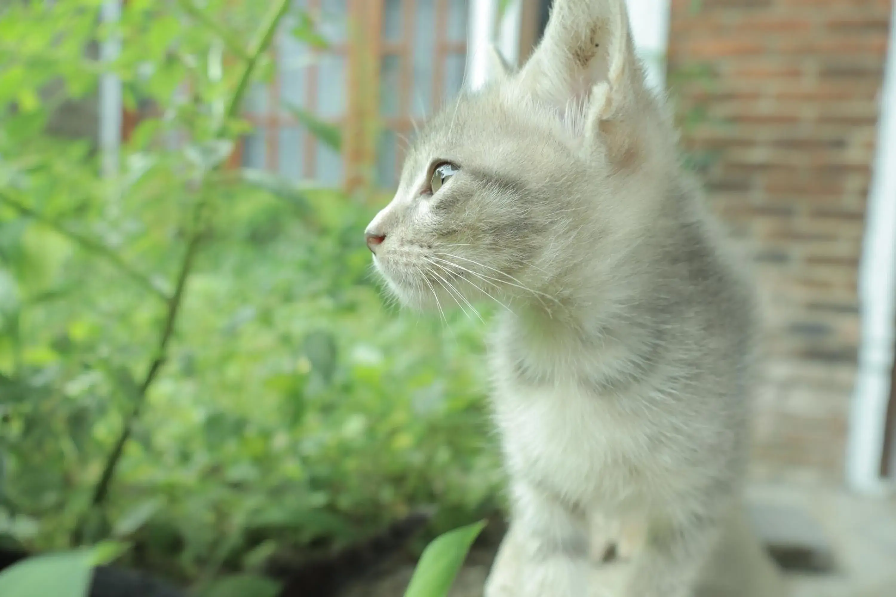 Chrisma Bed and Breakfast Chrisma Bed and Breakfast