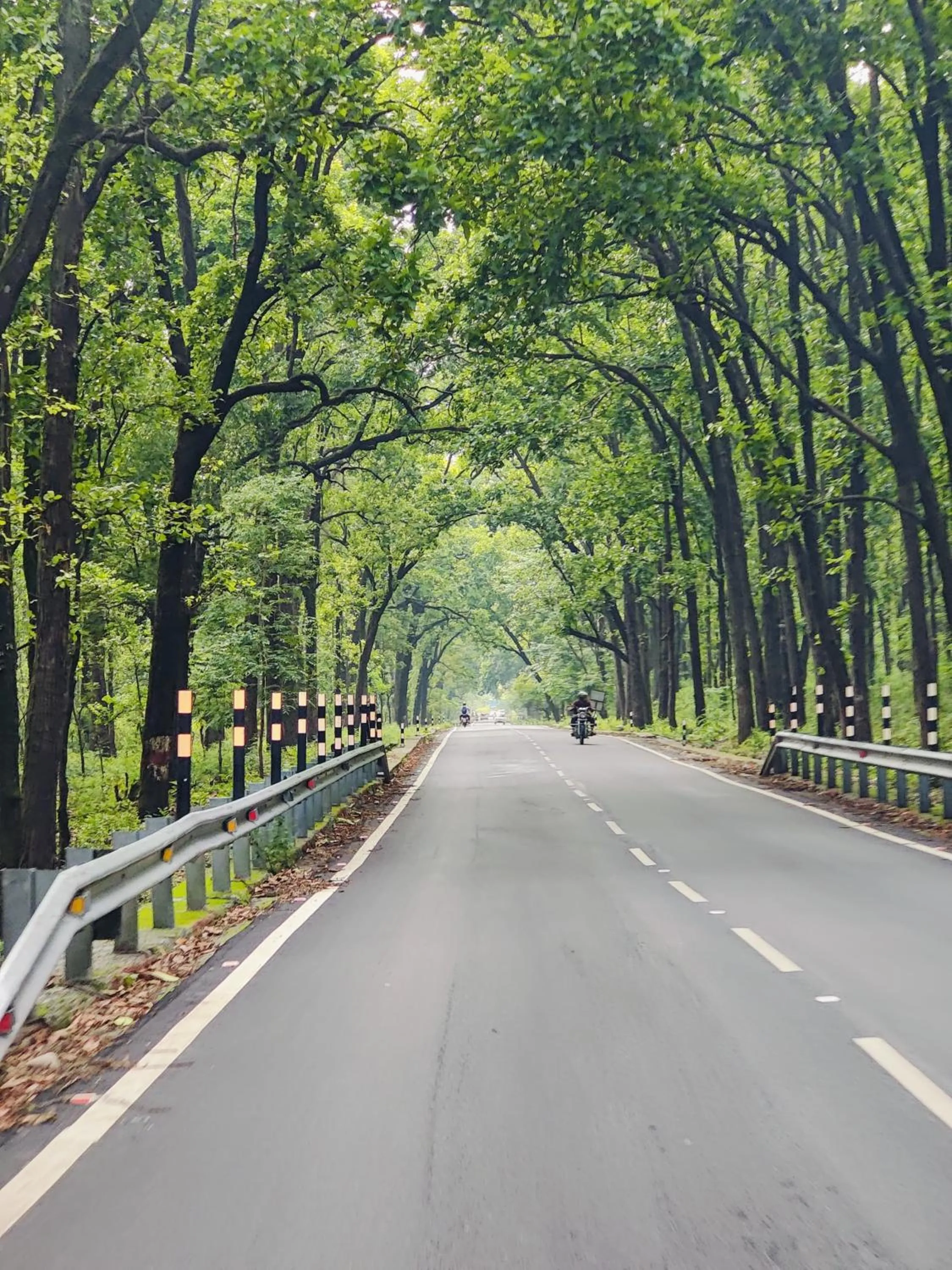 Hoztel Jollygrrant Doon