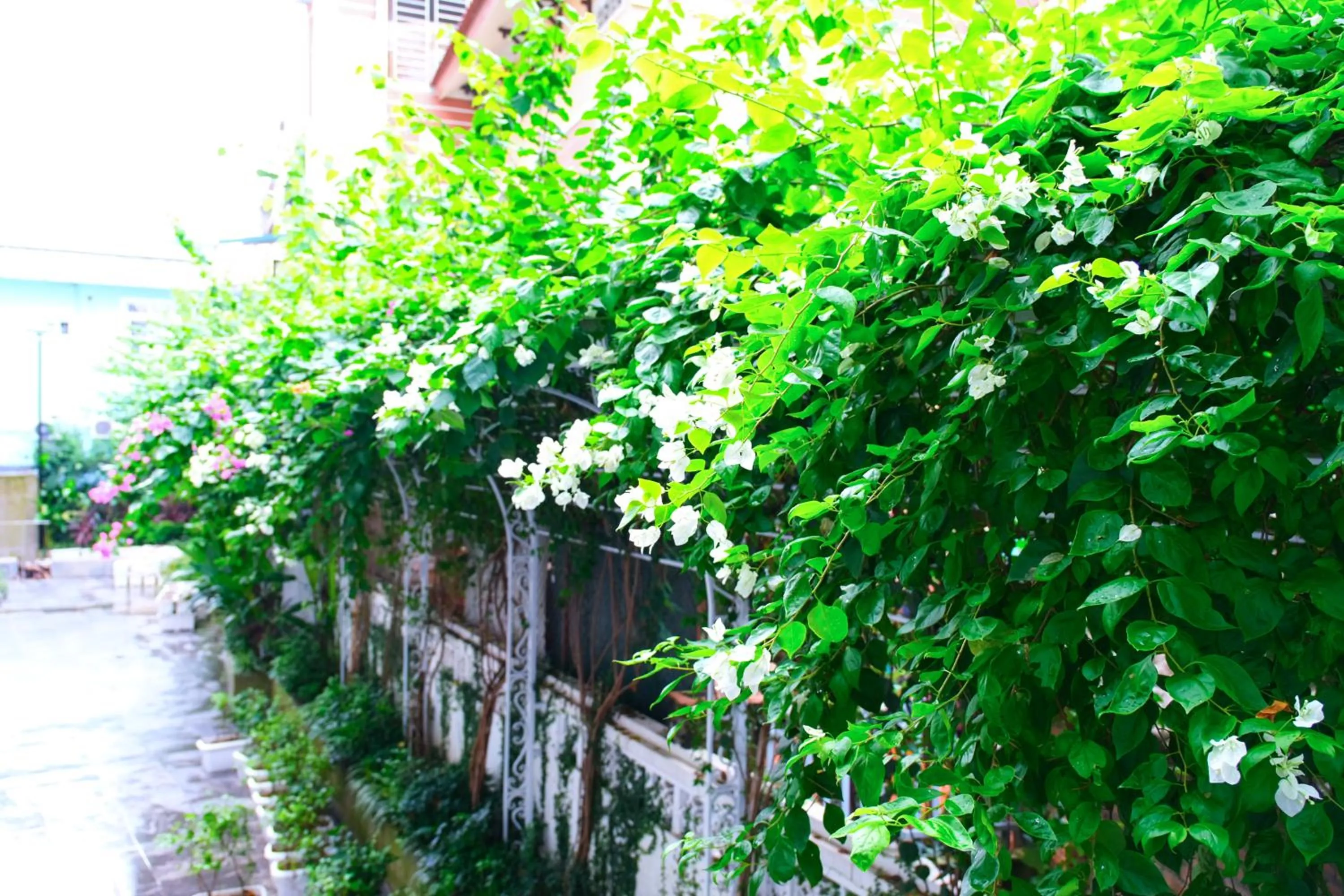 Indigen Riverside Hotel Cao Bang