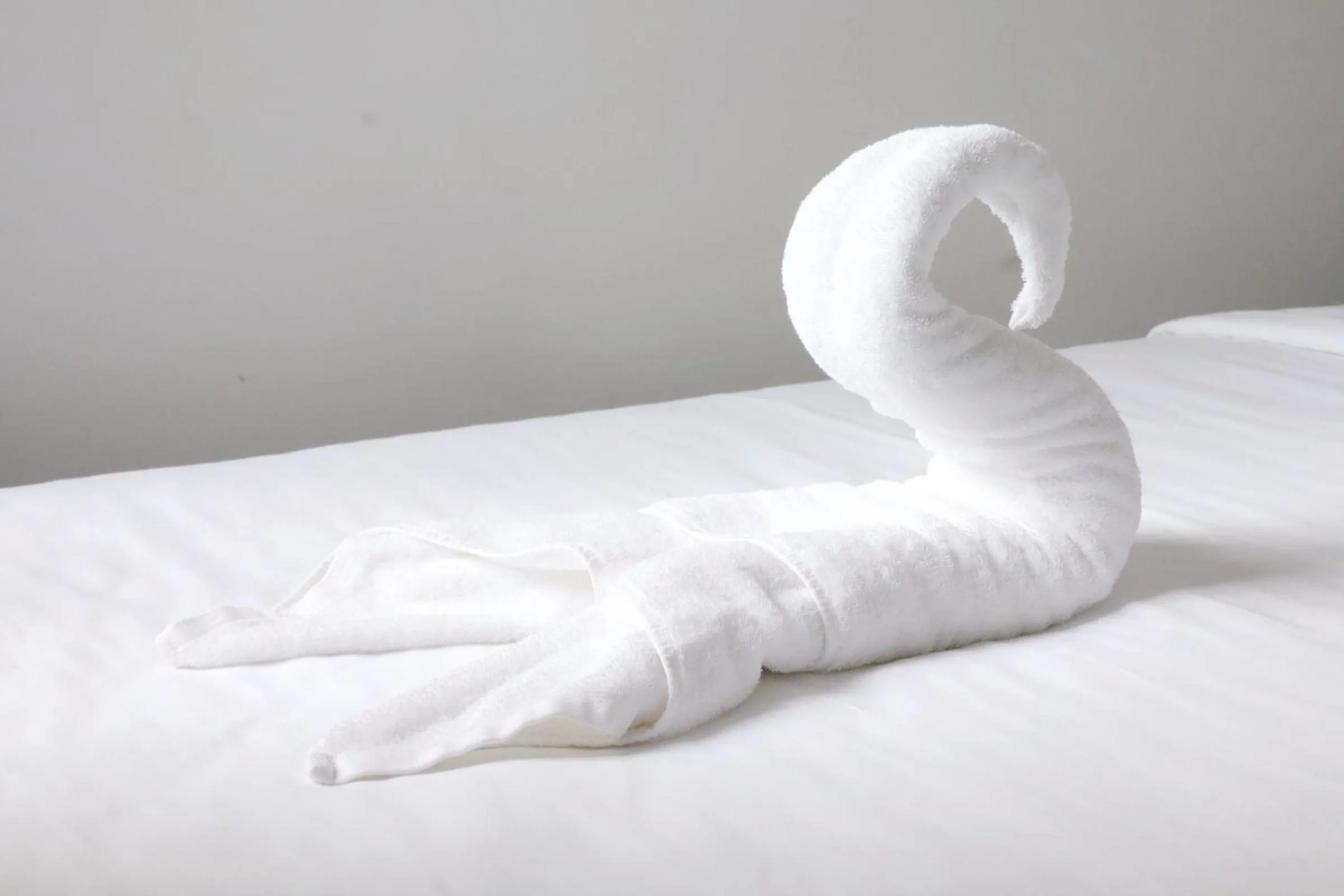 Bed in R&F Princess Cove Superior Homestay Nearby CIQ By Han Lin Sojourn