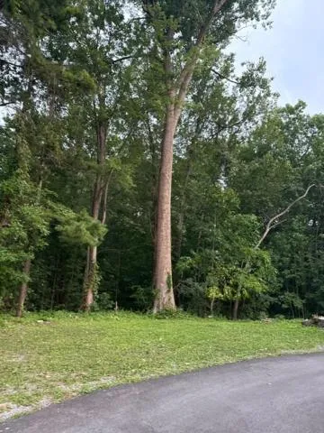 Property building in Gratiot View Motel