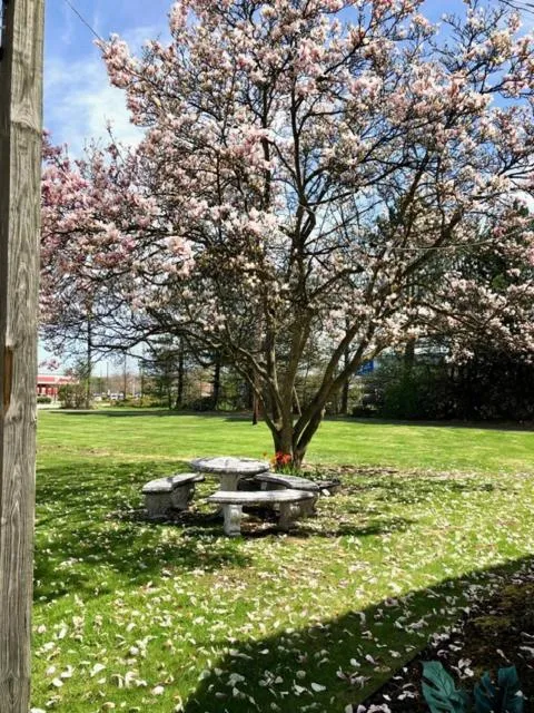 Property building in Gratiot View Motel