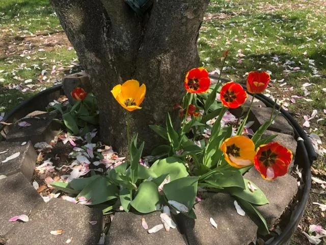 Property building in Gratiot View Motel