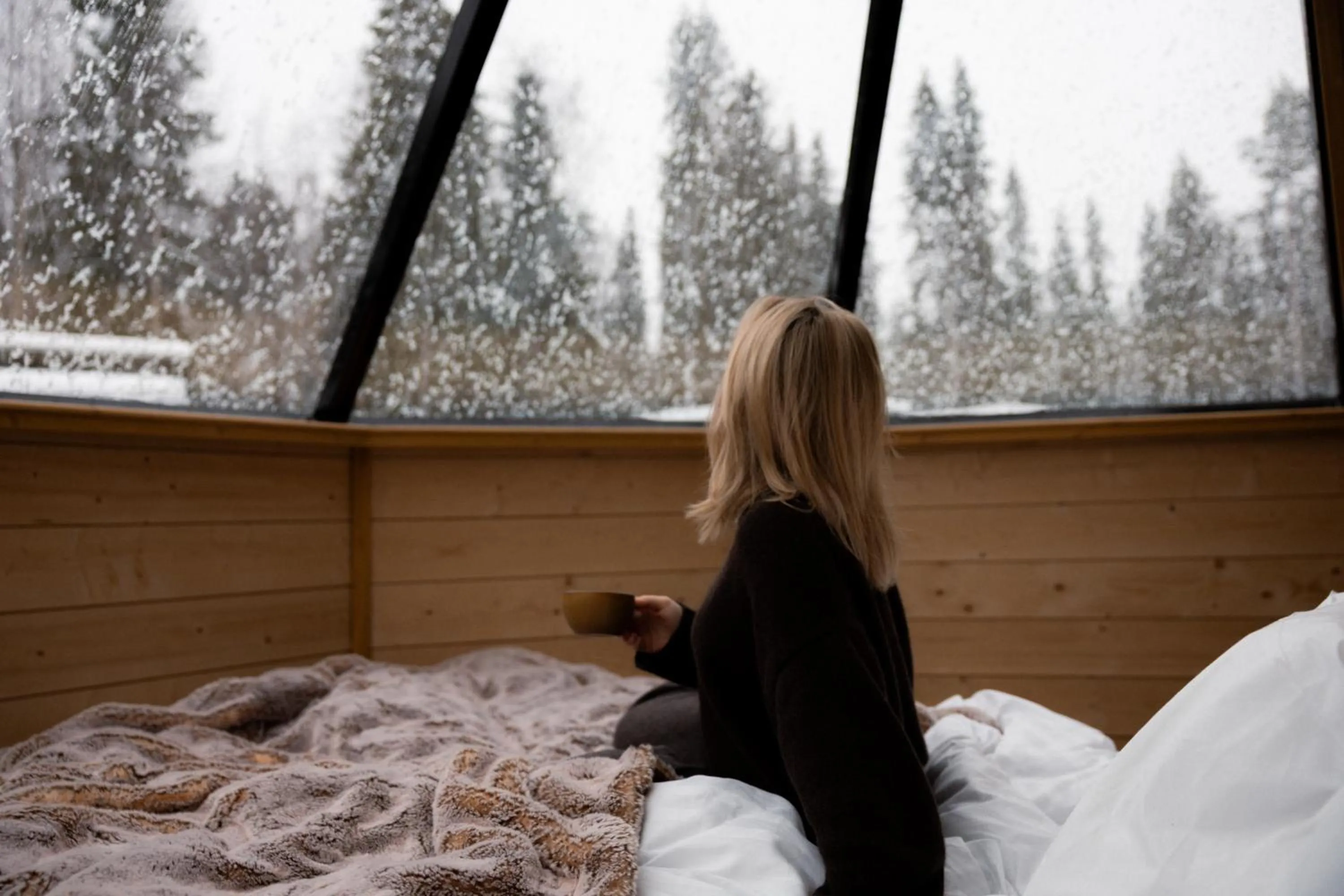 View (from property/room) in Vaattunki Wilderness Resort