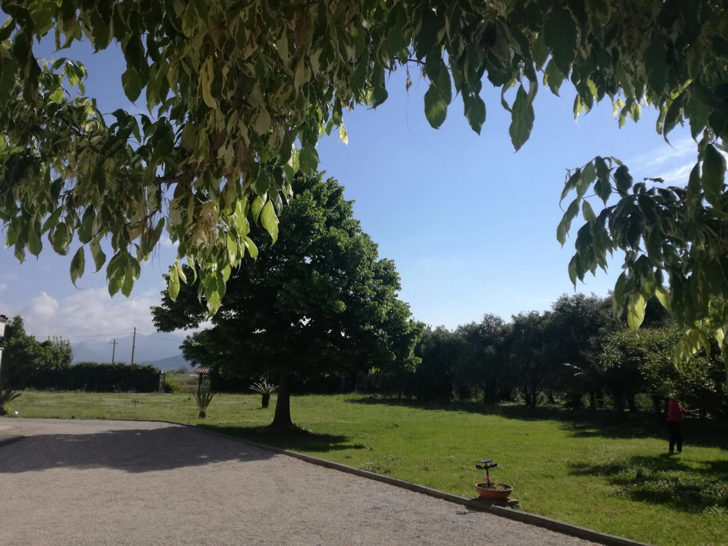 Garden in B&B Villa Napoli