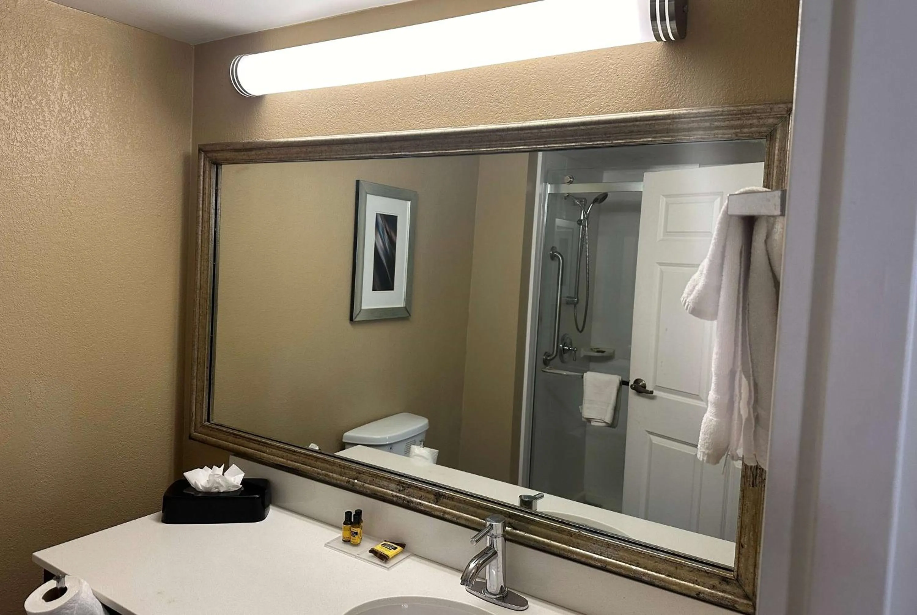 Bathroom in Wingate by Wyndham Harrisburg Near Hershey