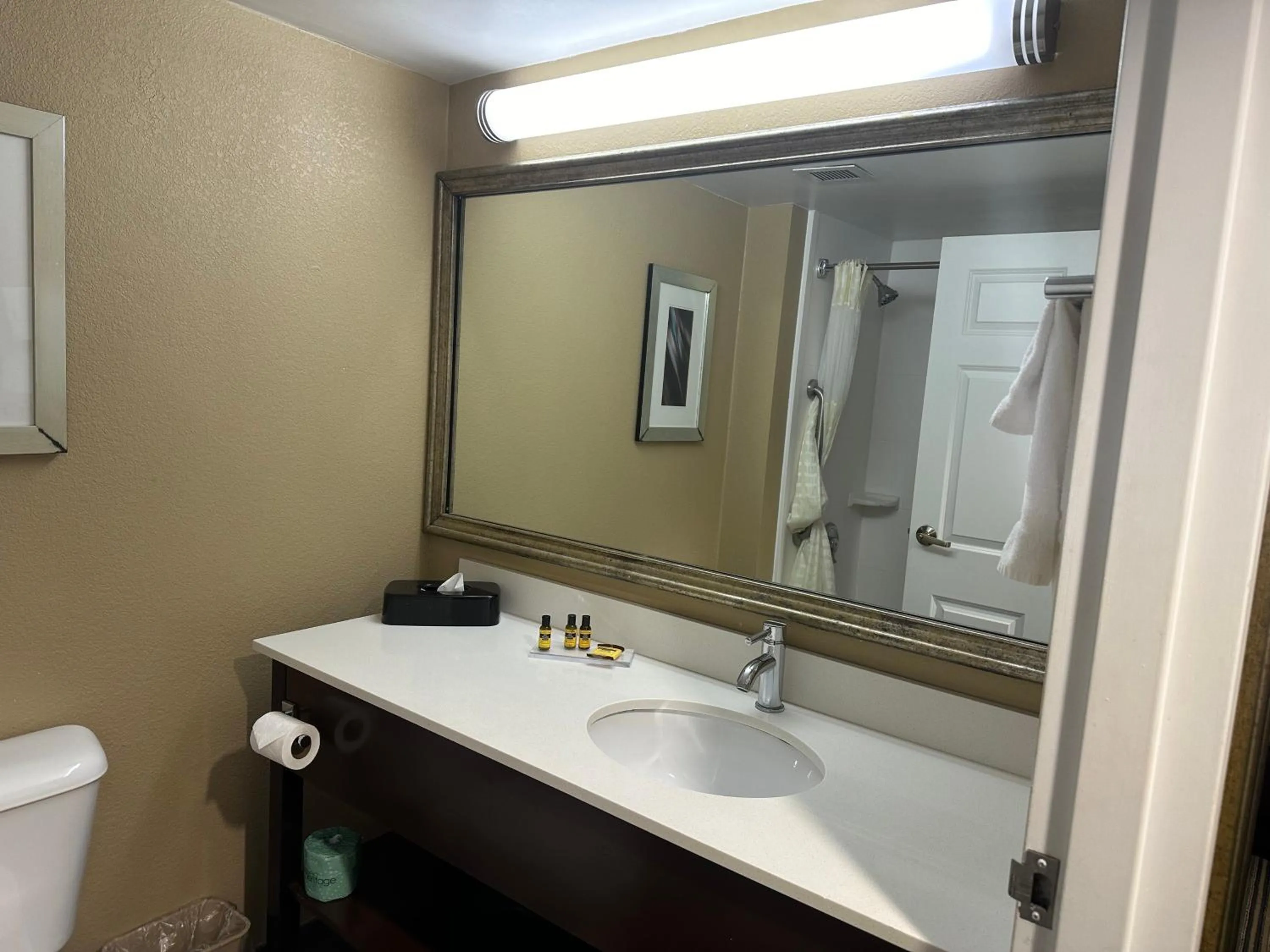 Shower in Wingate by Wyndham Harrisburg Near Hershey