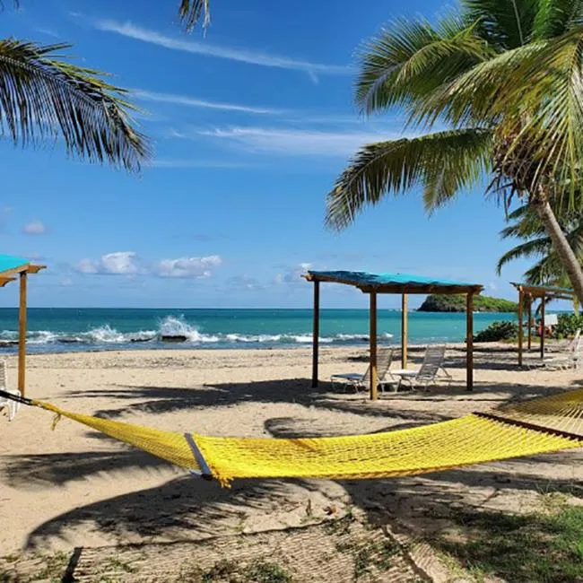 Snorkeling in Tamarind Reef Resort Spa & Marina