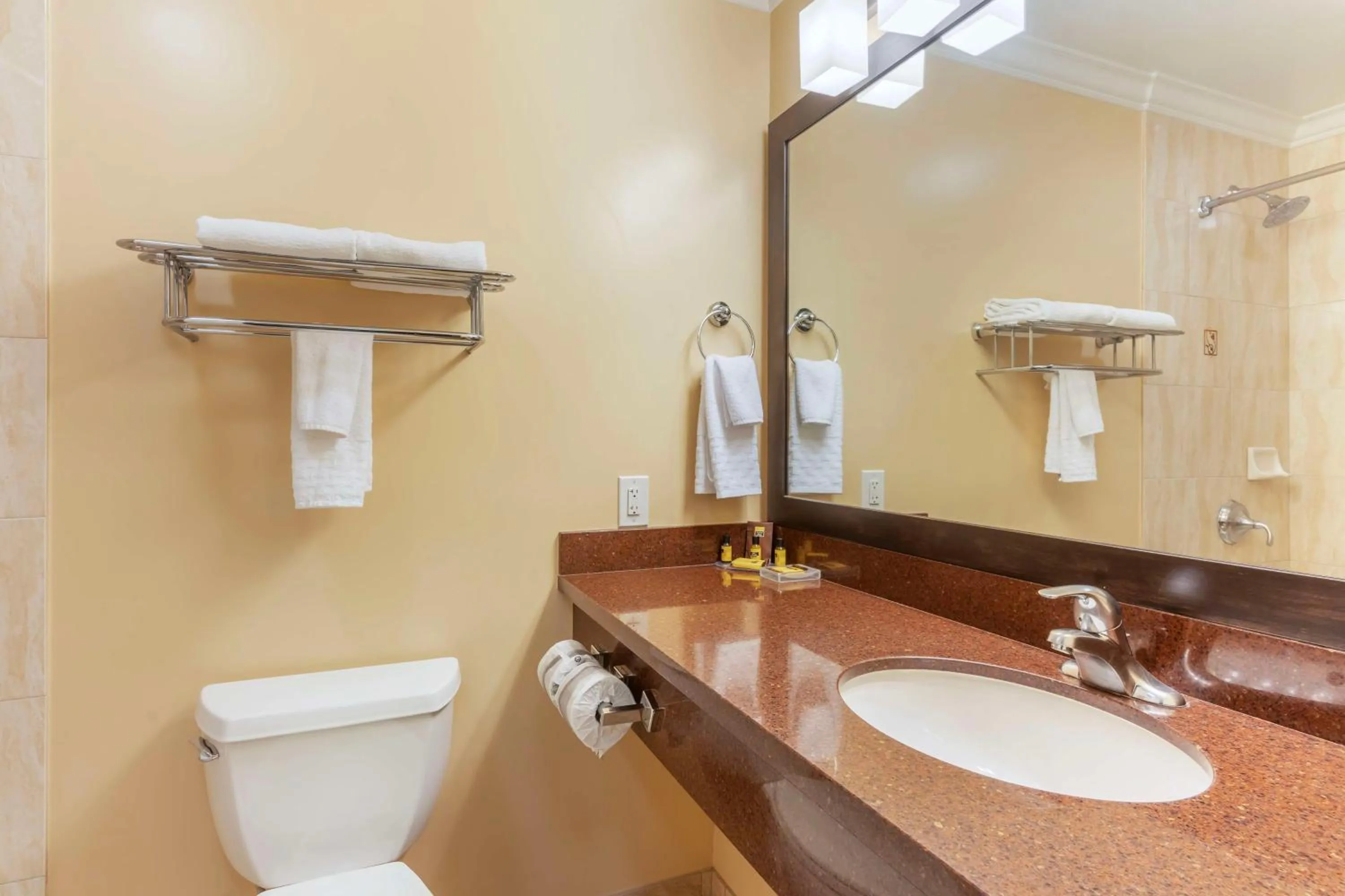 Bathroom in Best Western Plus Airport Plaza