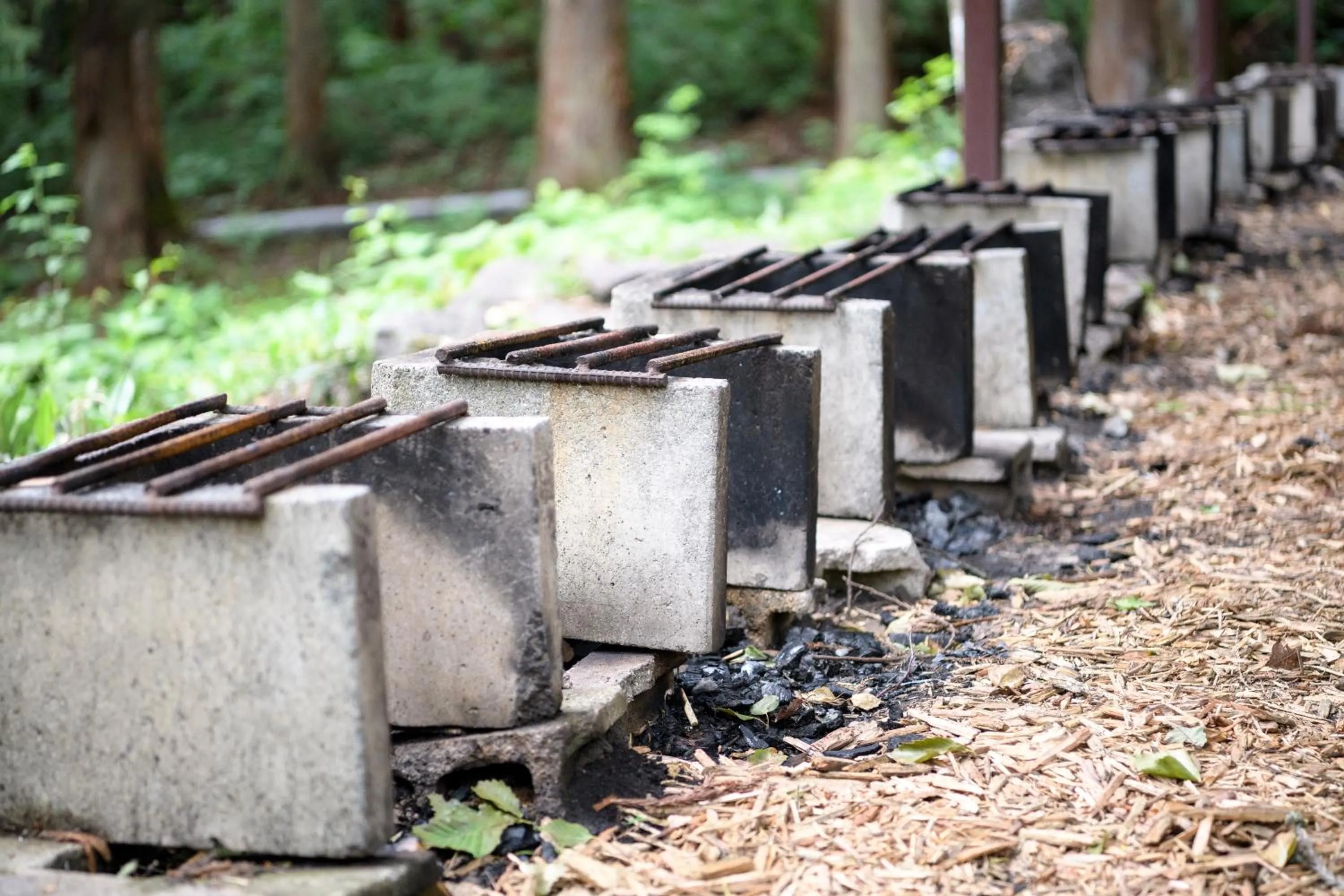 BBQ facilities in Hotel Tagawa