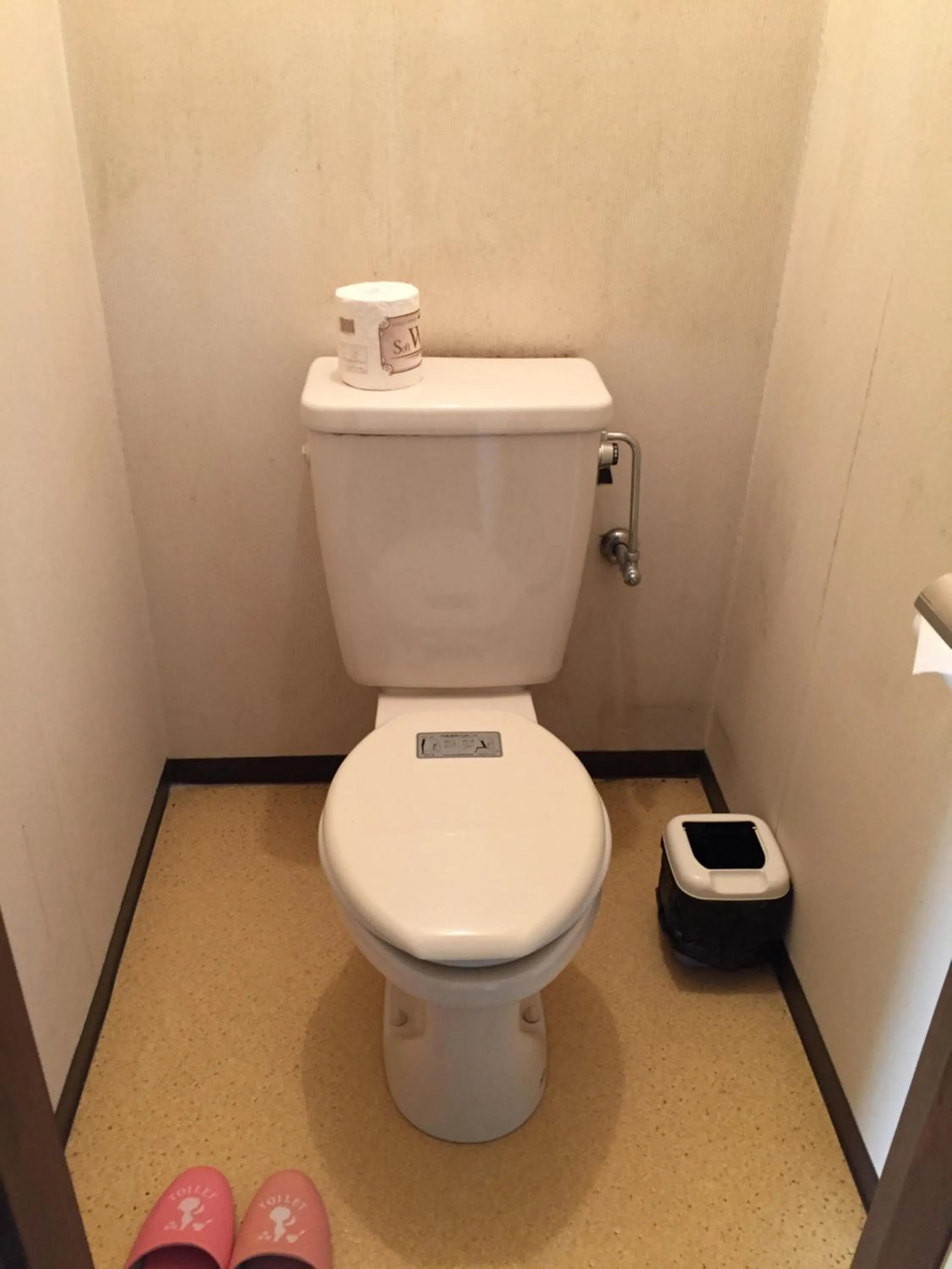 Toilet in Hotel Tagawa
