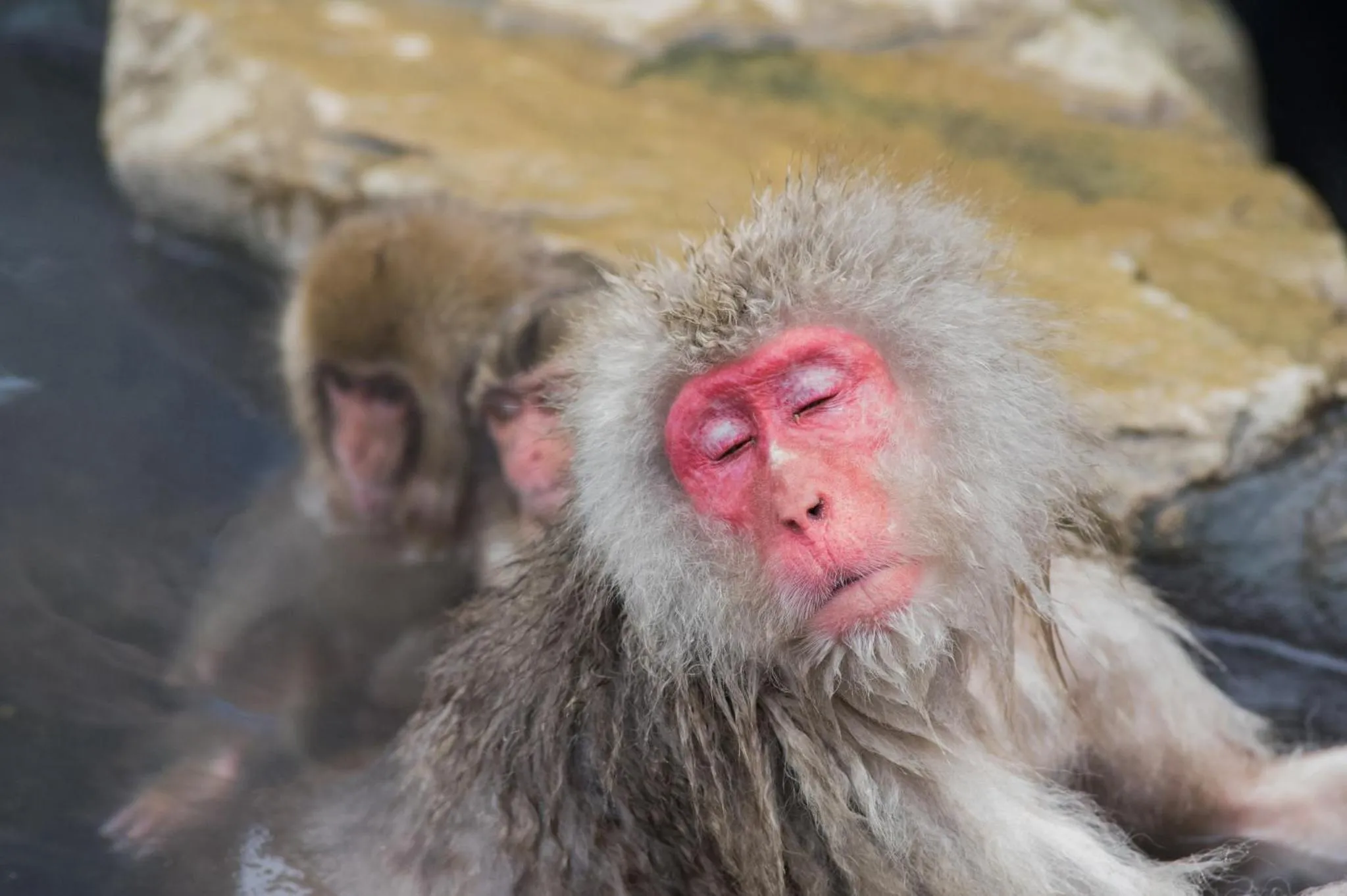 Nearby landmark in Hotel Tagawa