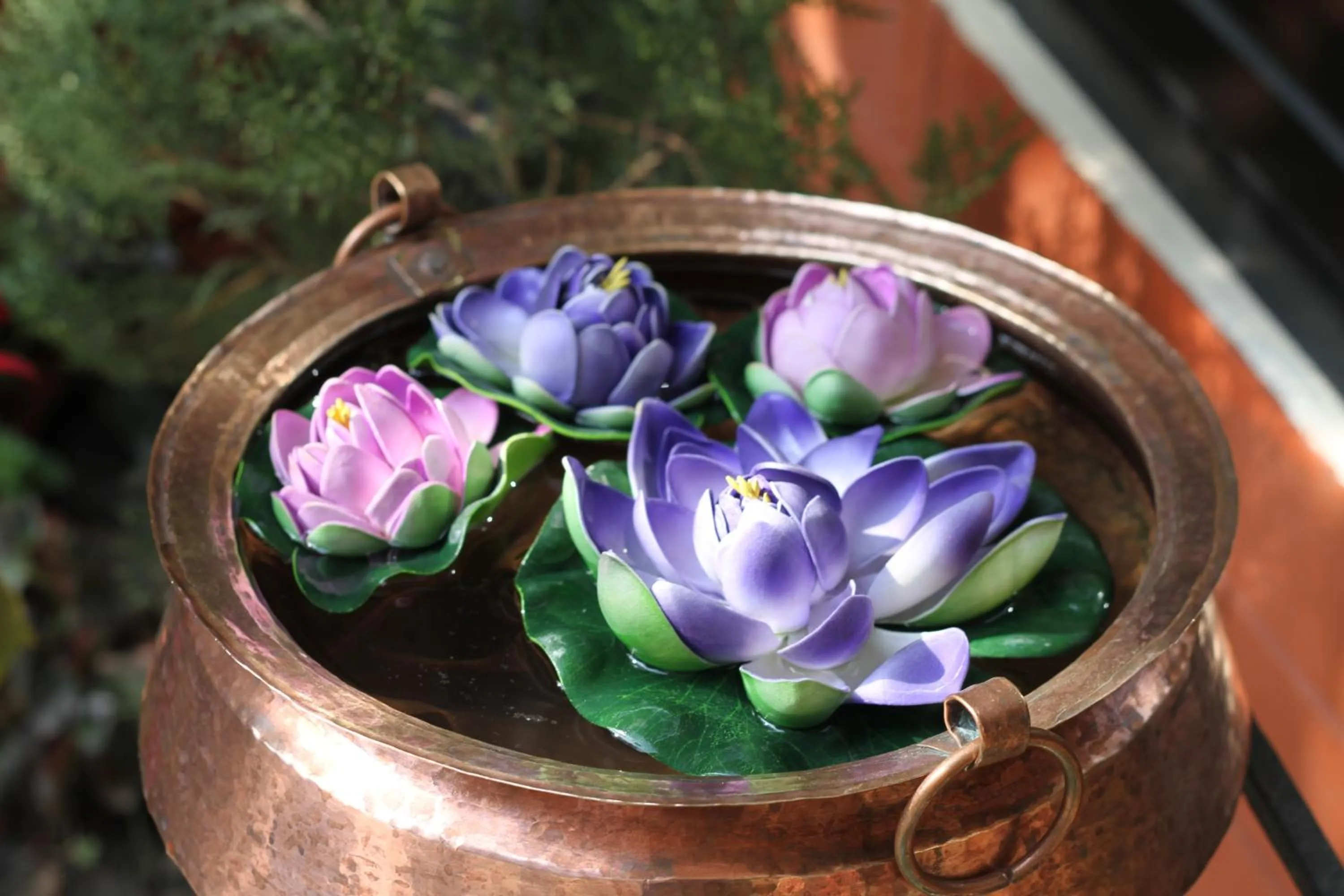 Aqua park in Hotel Atlantic