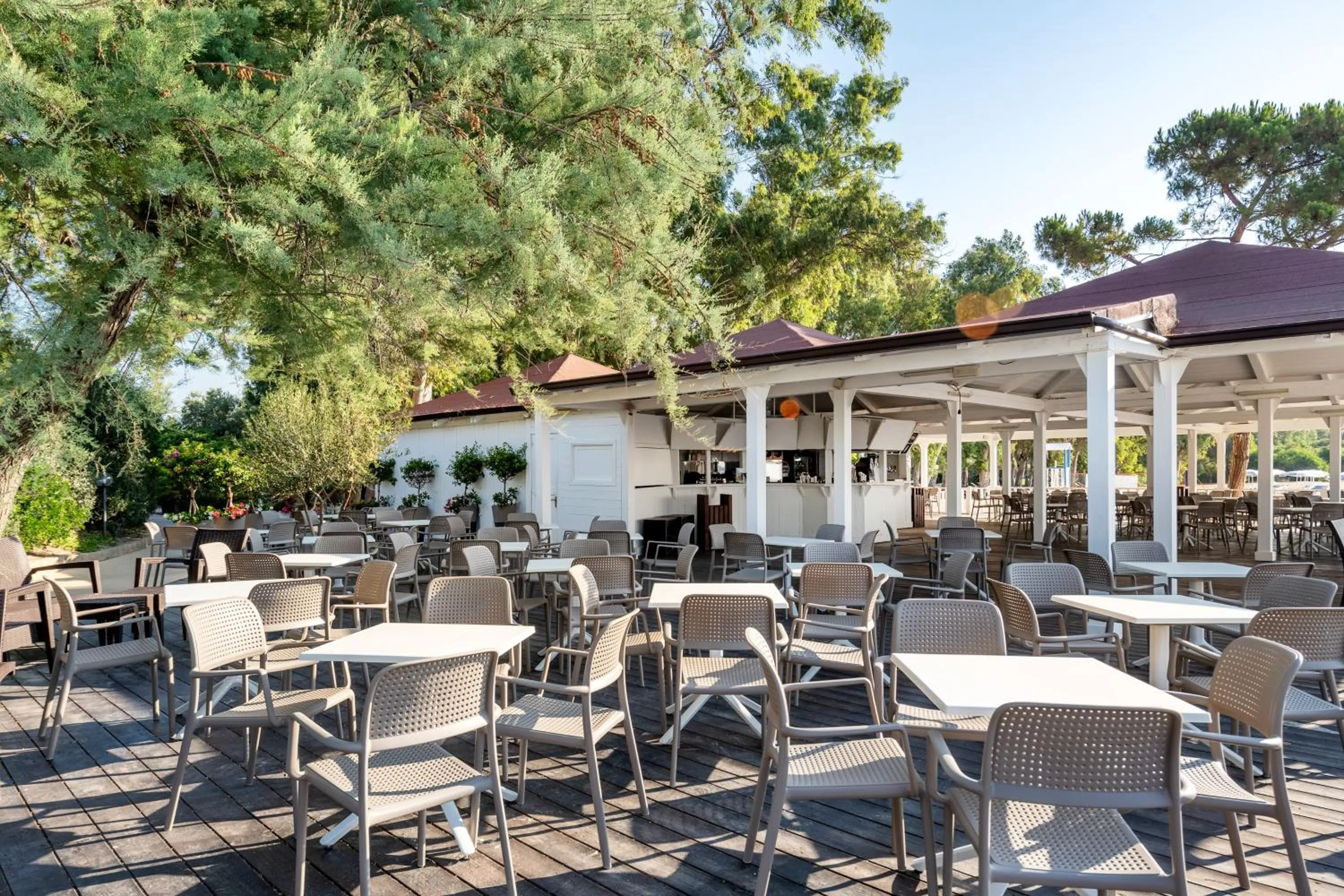 Lounge or bar in VOI Floriana Resort