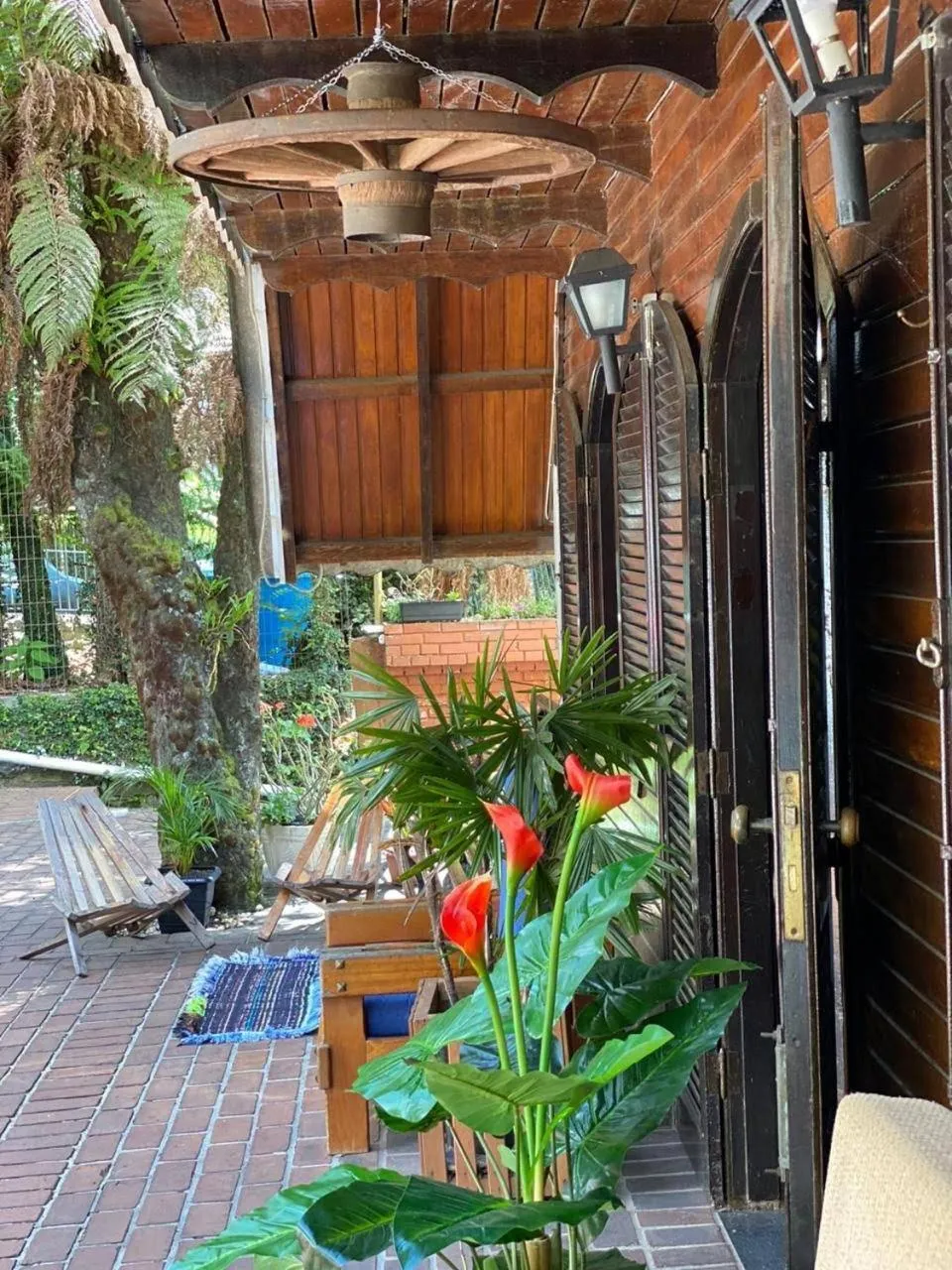 Garden view in Chalé das Neves