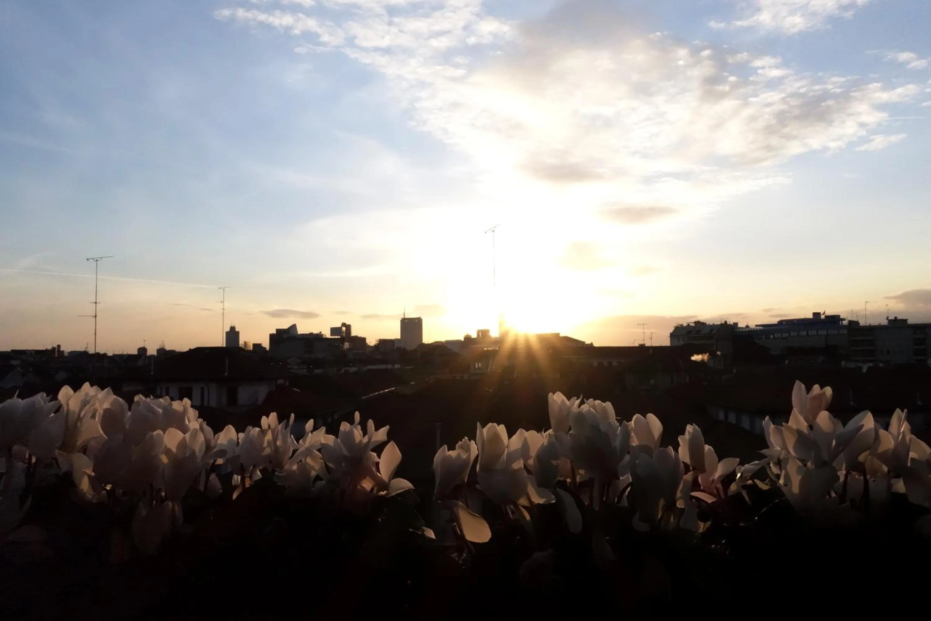 View (from property/room) in Pattini Guest House