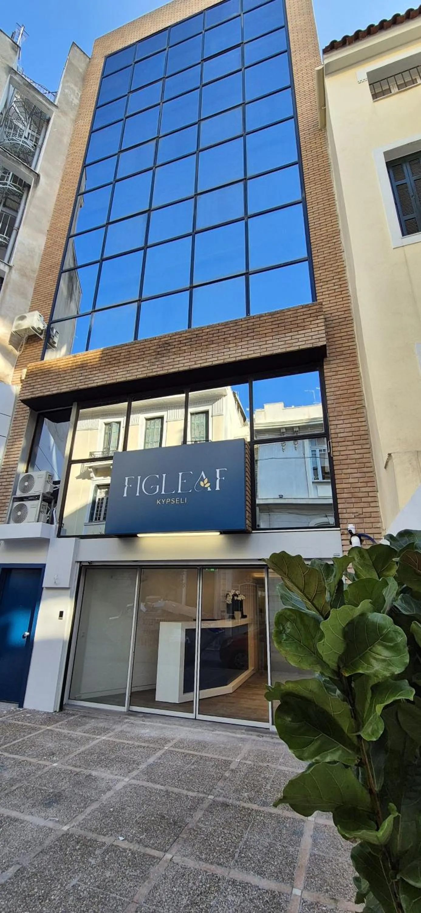 Property building in Figleaf Kypseli