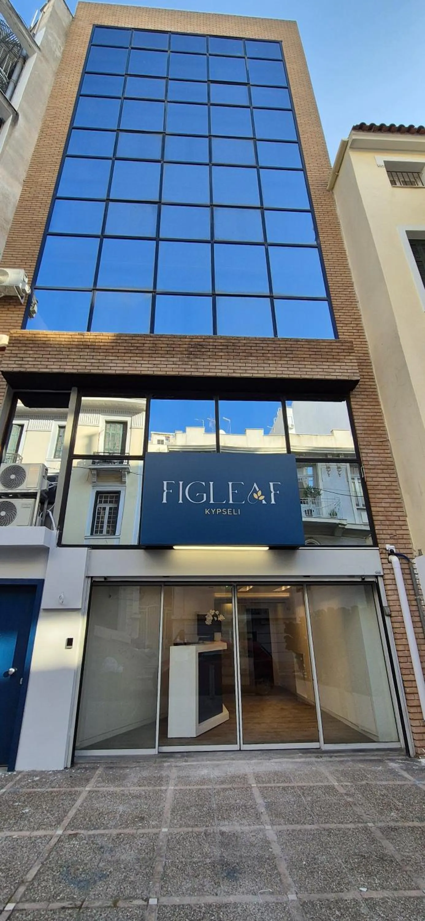 Property building in Figleaf Kypseli