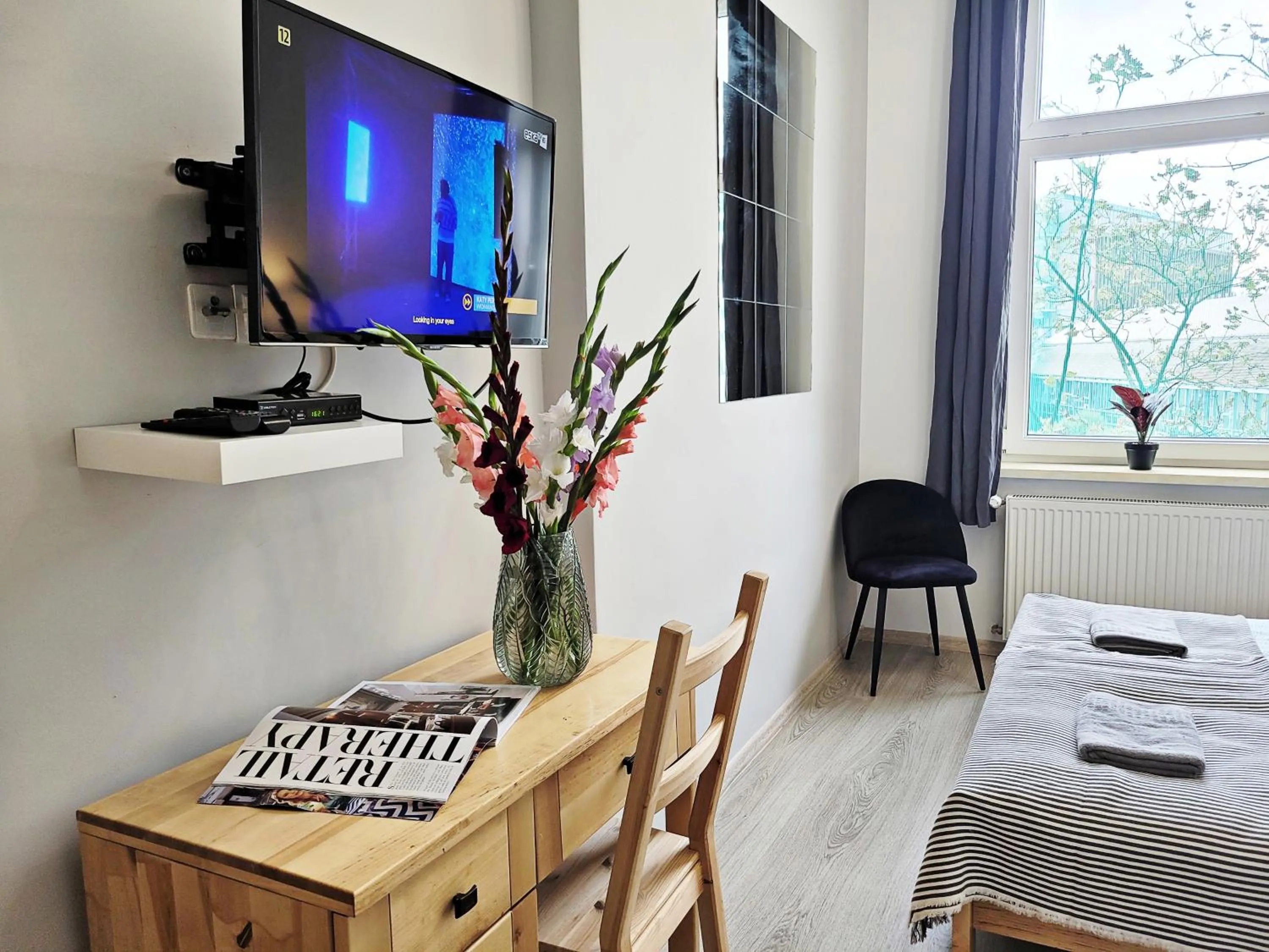 TV and multimedia in DReAM Main Station