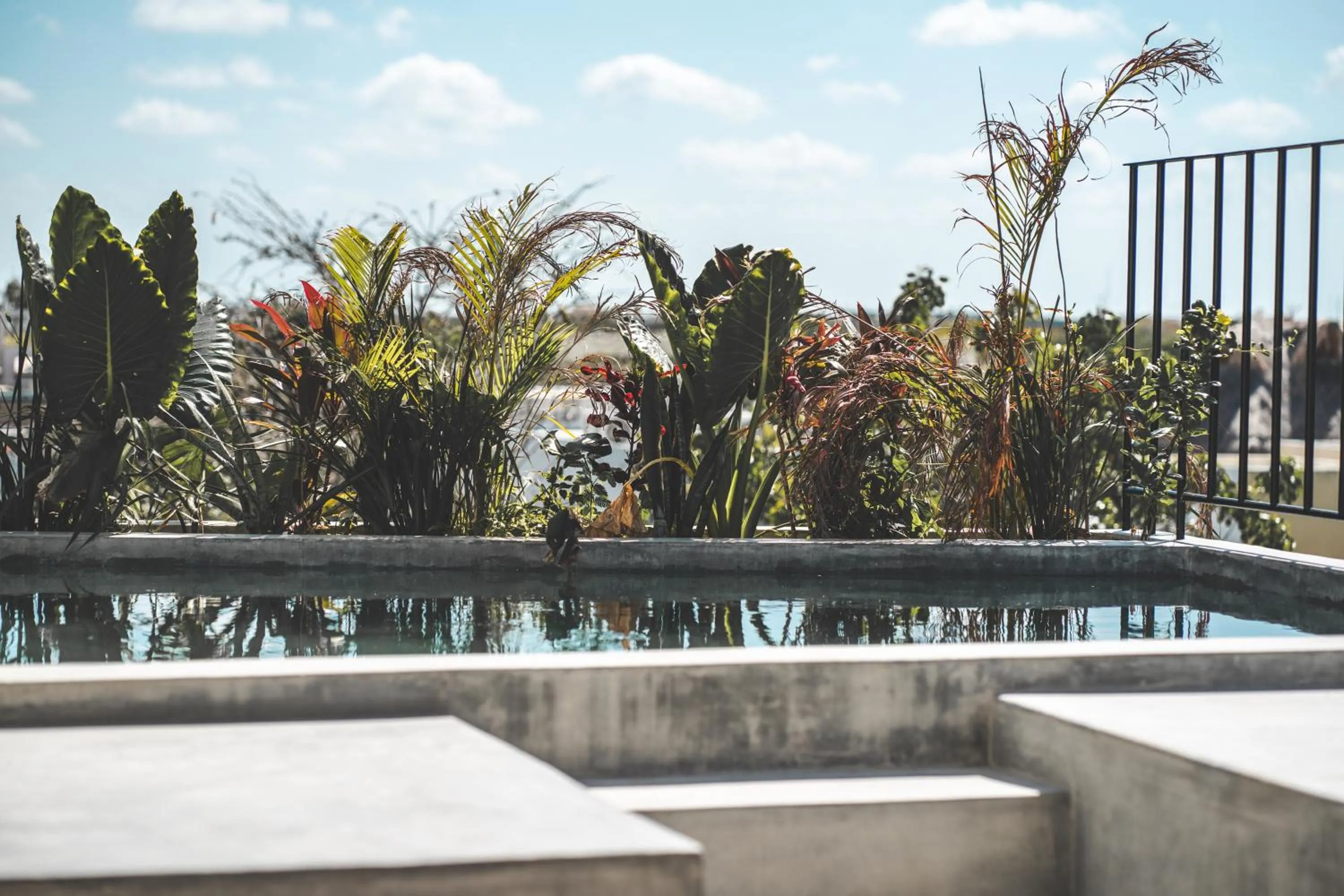 Swimming pool in Urbano by Sundara