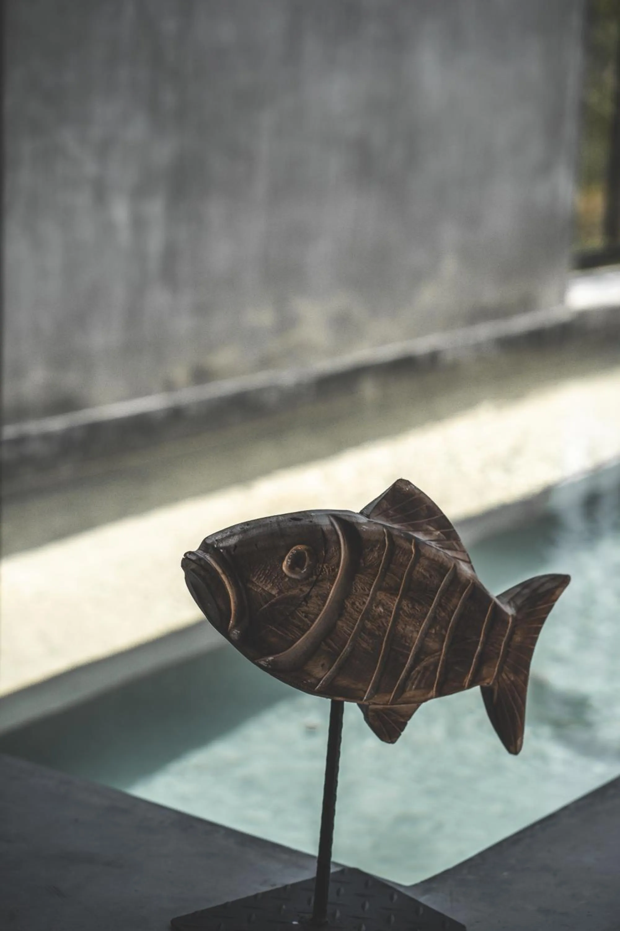 Swimming pool in Urbano by Sundara