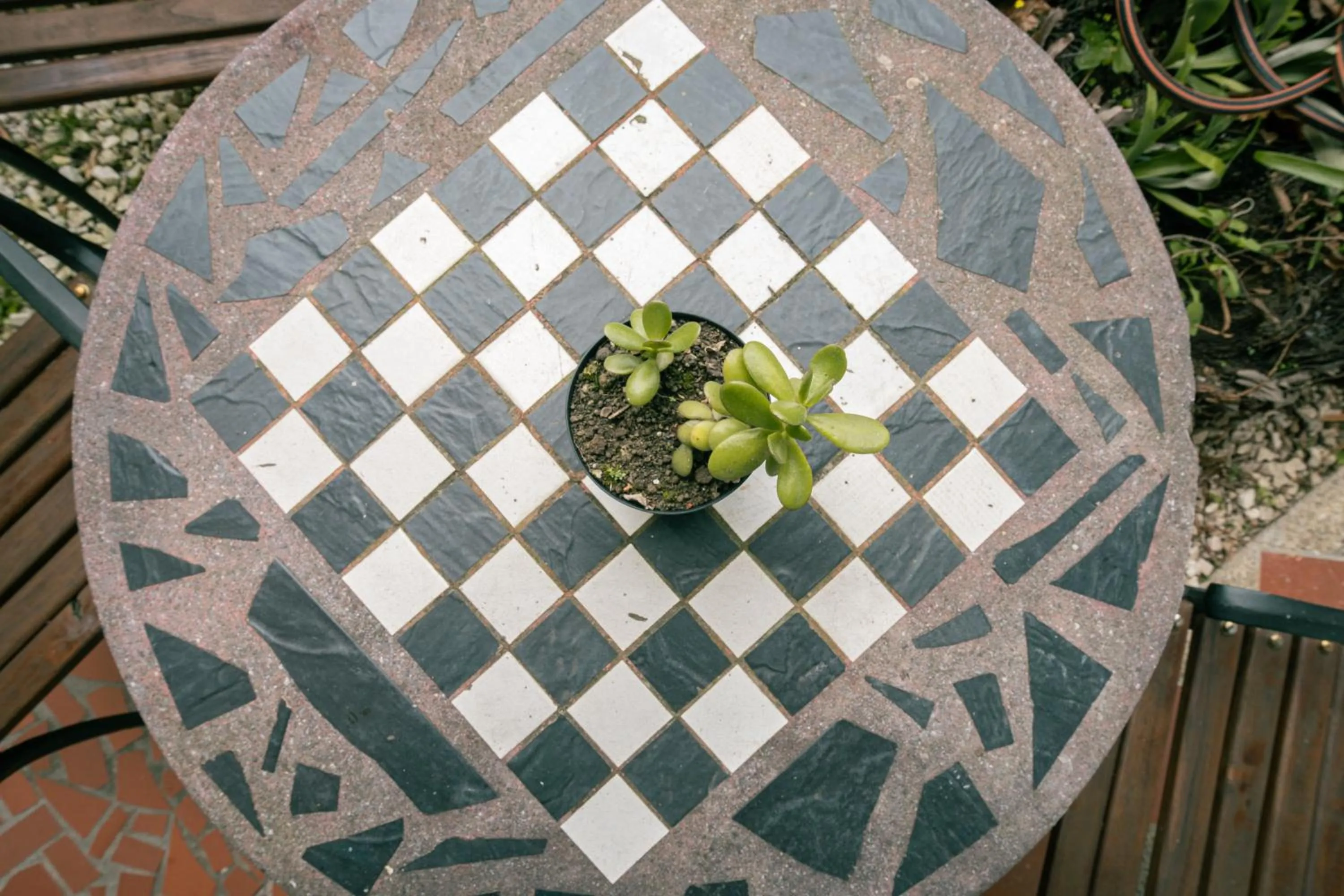 Garden in Hotel Spa Bliss Guatape