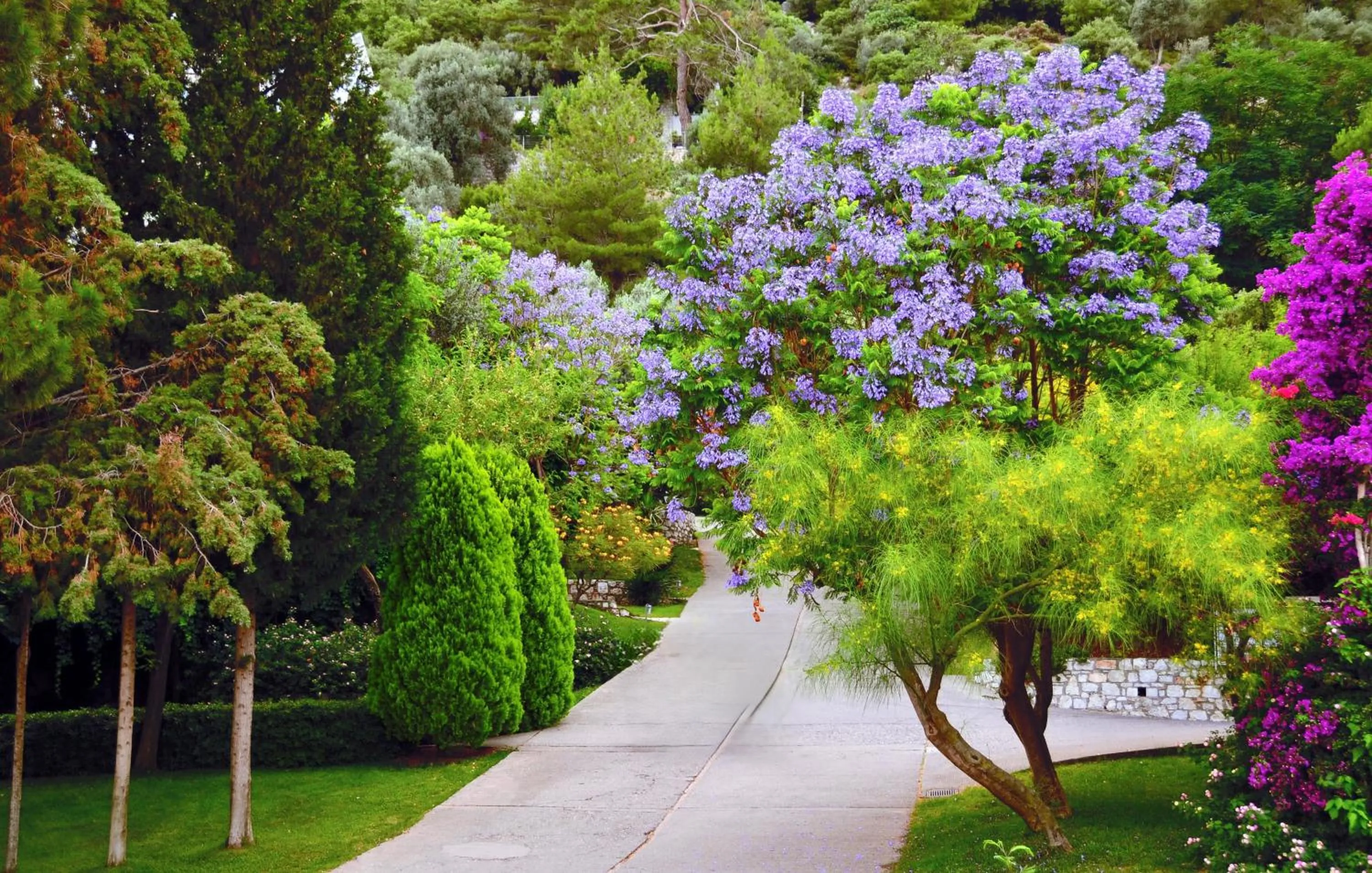 On site in Loryma Resort Hotel