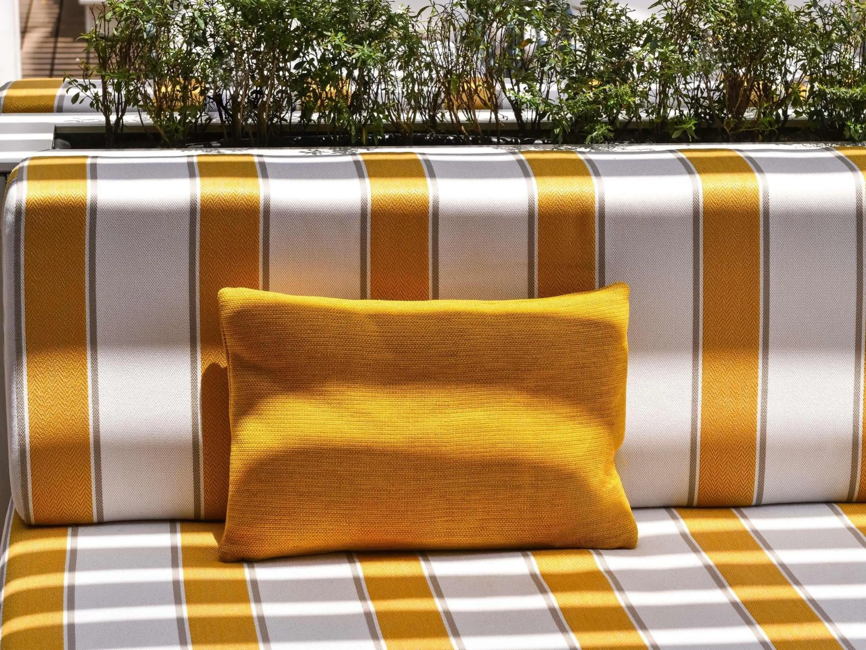 Lounge or bar in Novotel Abidjan Marcory