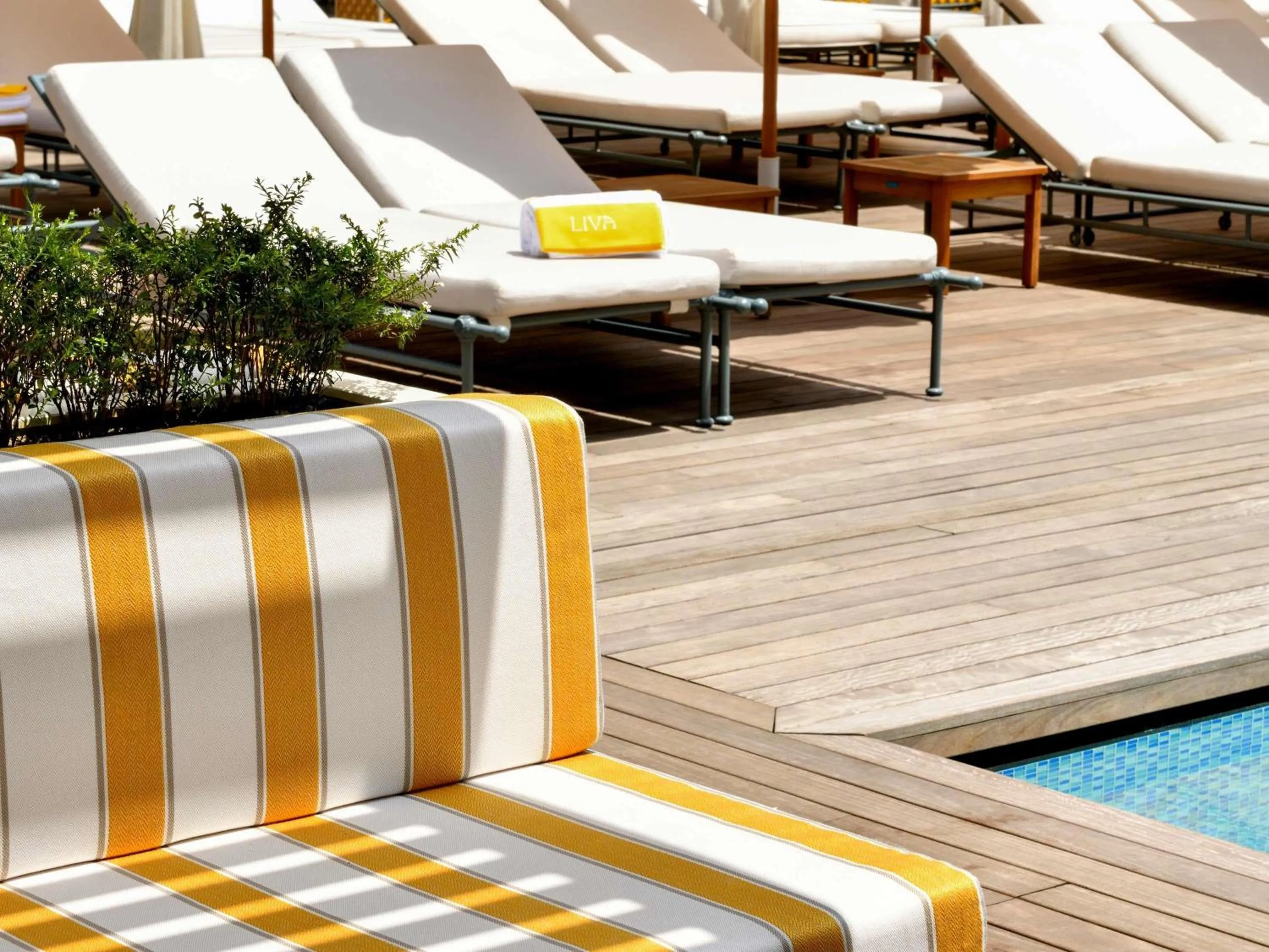 Lounge or bar in Novotel Abidjan Marcory