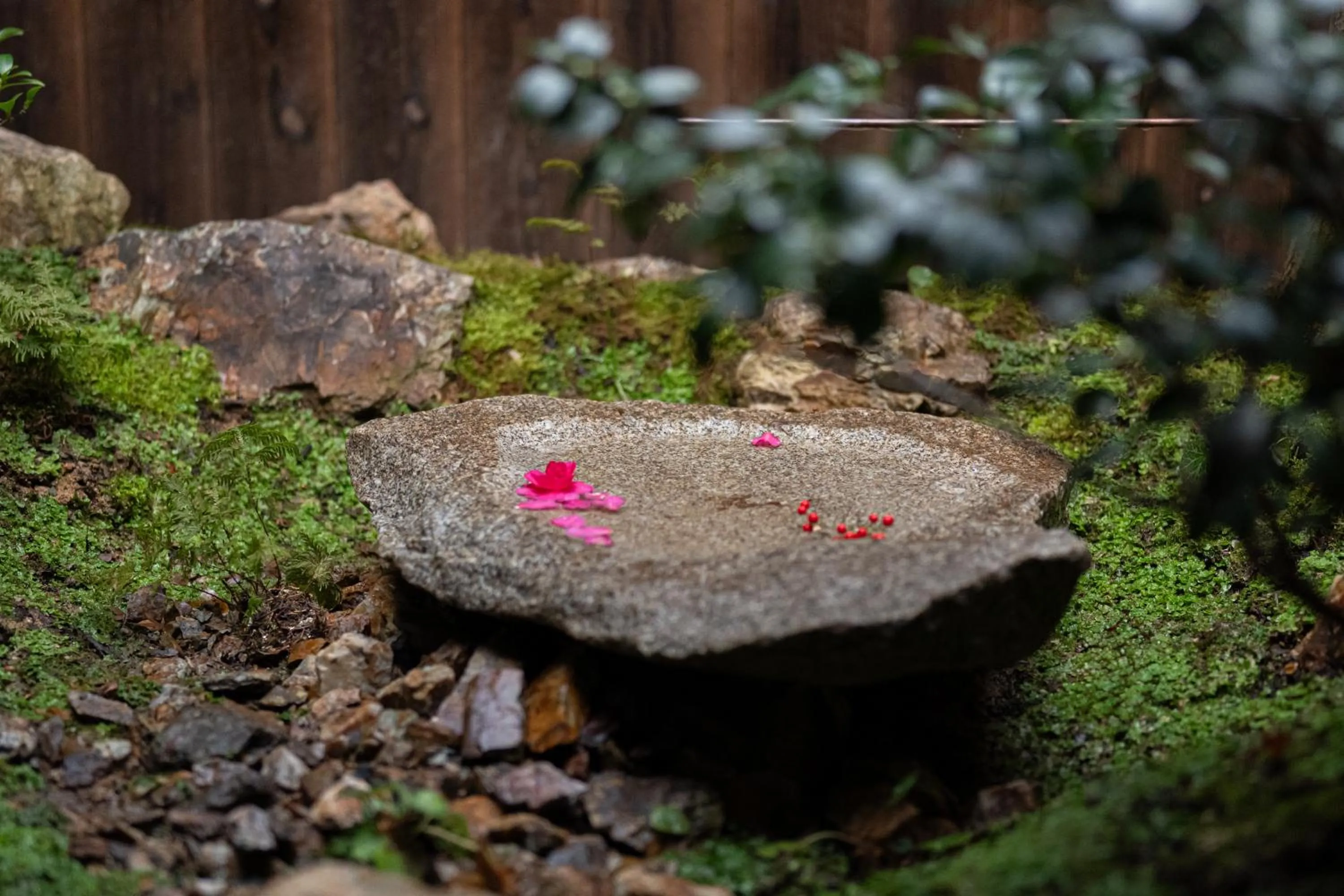 Garden in Nazuna Kyoto Higashi Honganji