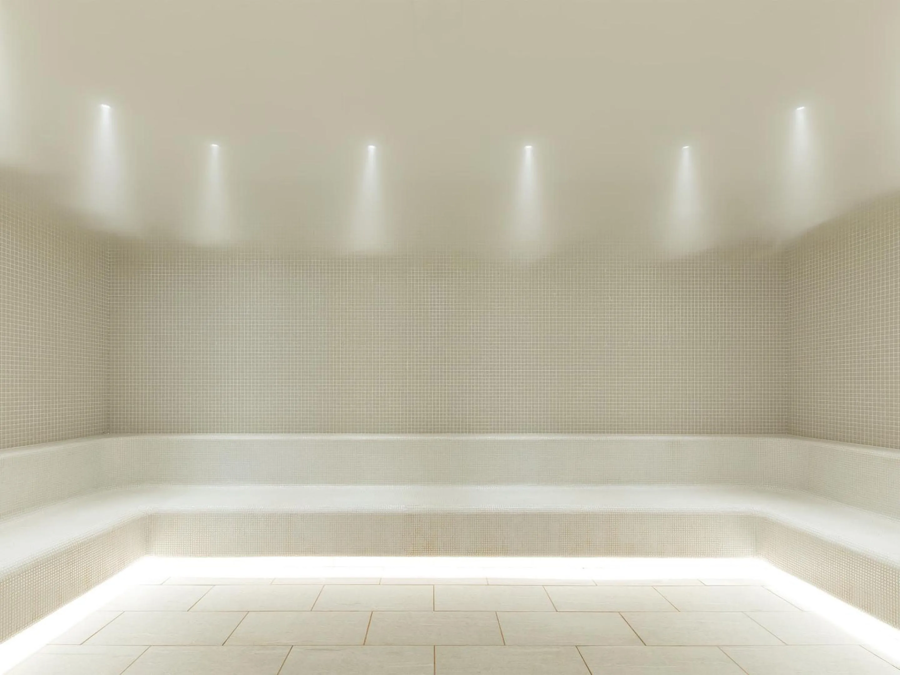 Sauna in Executive Suite SUIREI