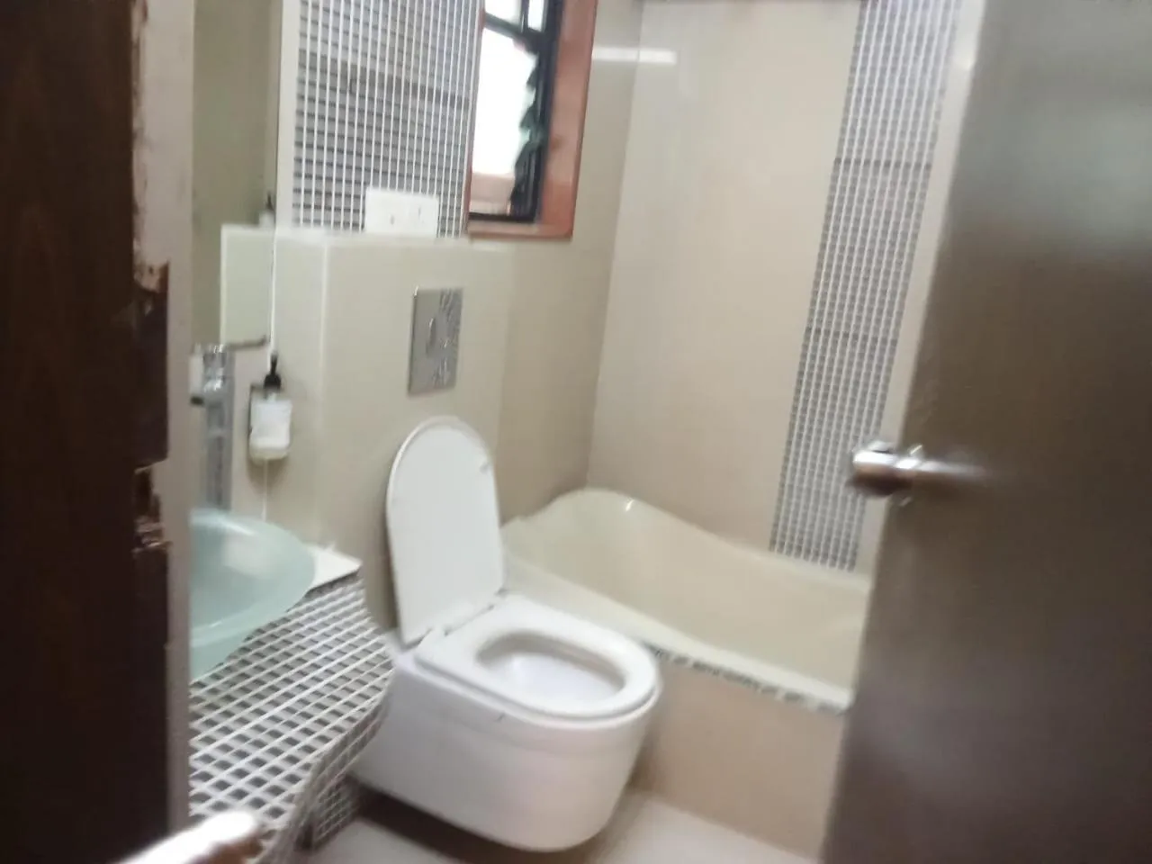Toilet in Hotel Crown