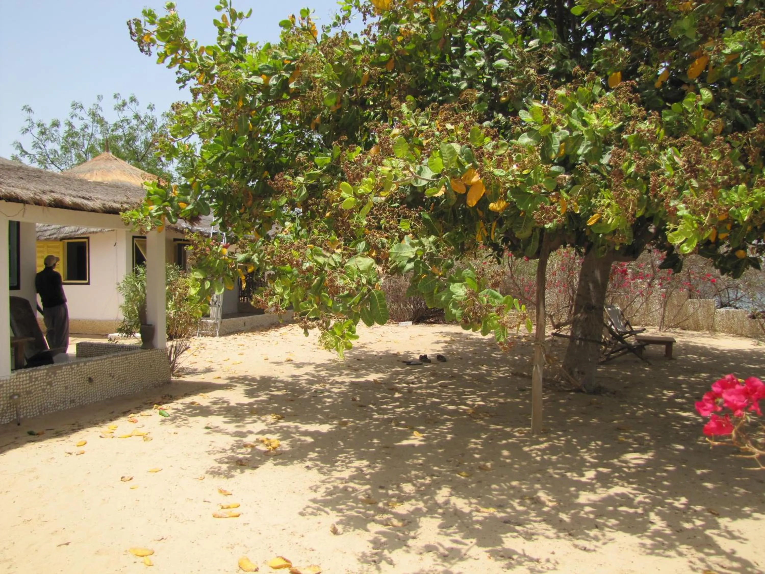 Garden in Bazouk Du Saloum Ecolodge Solidaire