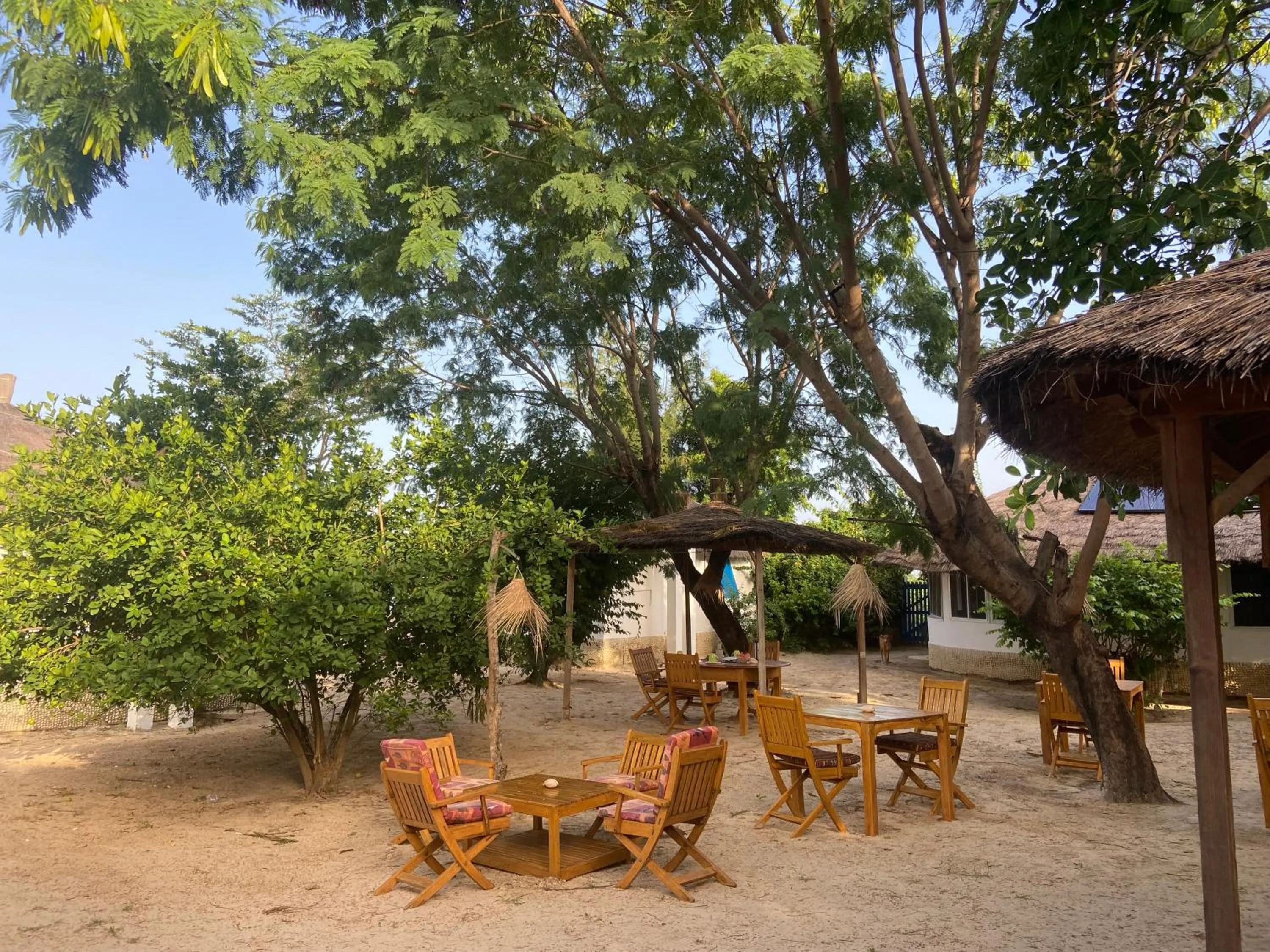 Bazouk Du Saloum Ecolodge Solidaire