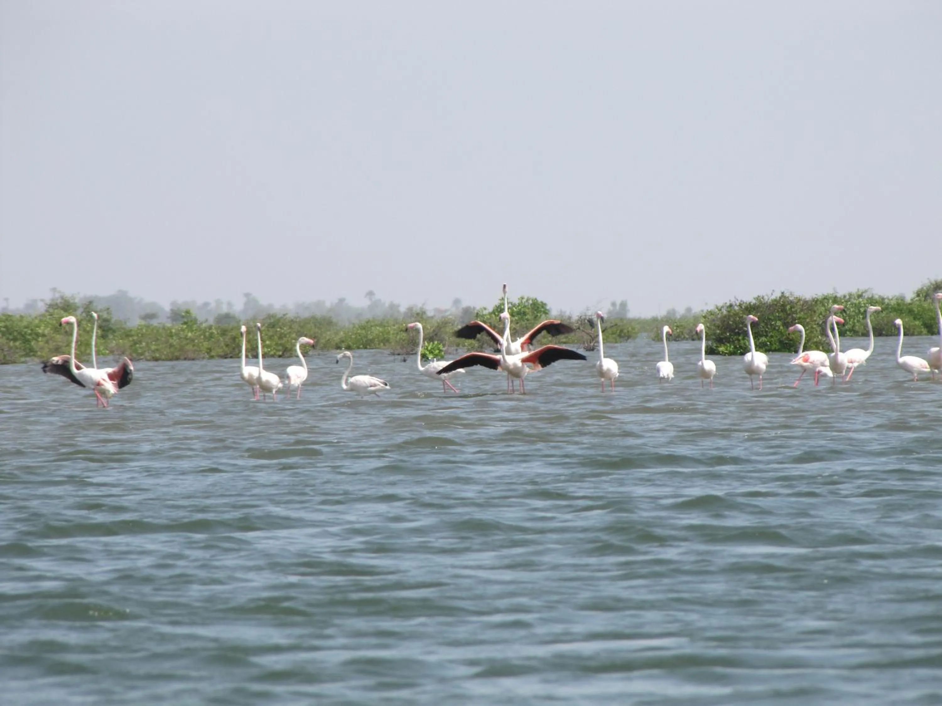 Facade/entrance in Bazouk Du Saloum Ecolodge Solidaire