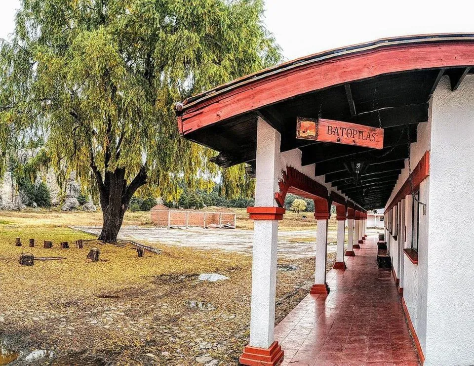 Garden in Parador del Alma