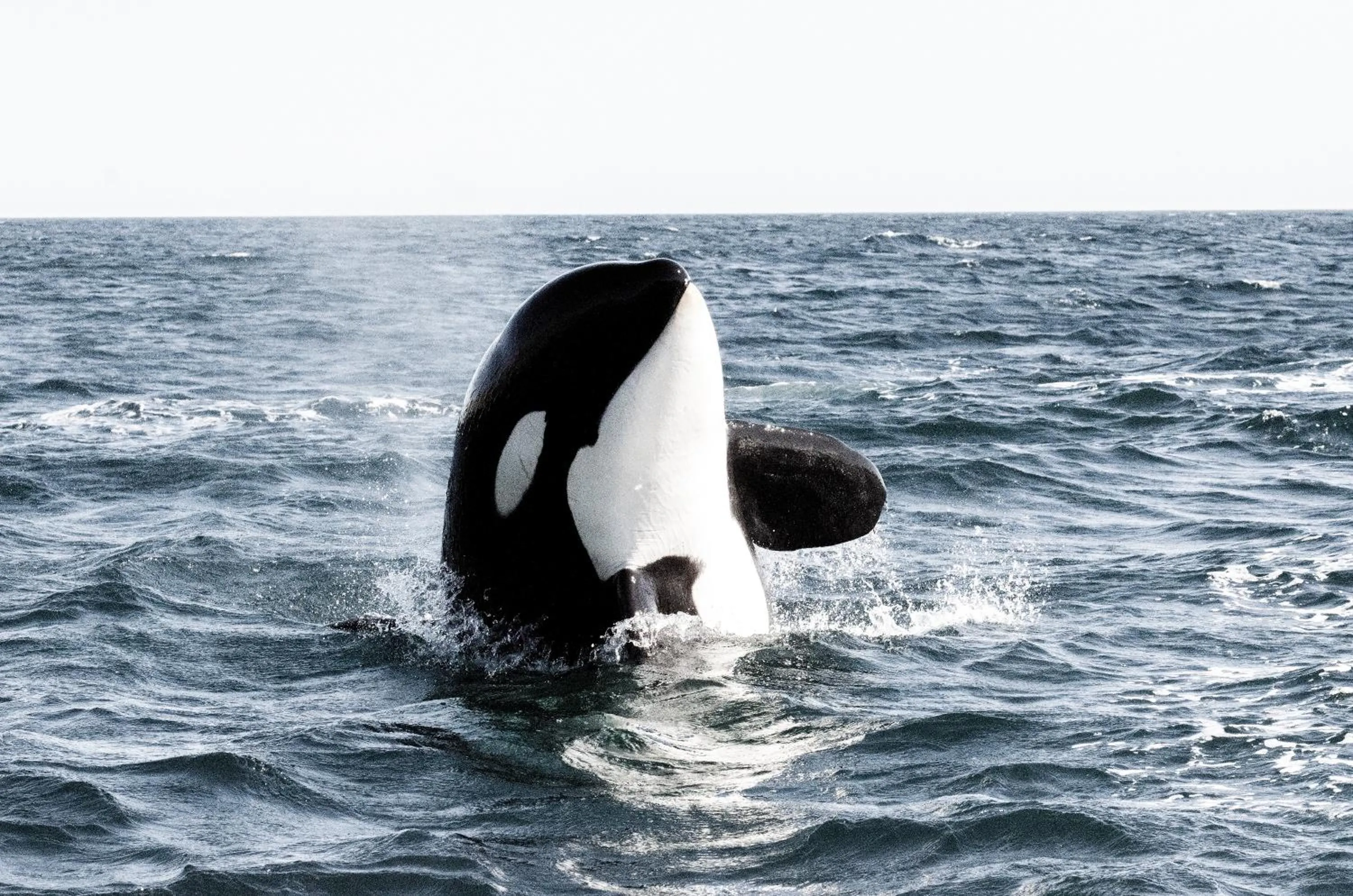 Activities in Casa 1880 - Adults Only