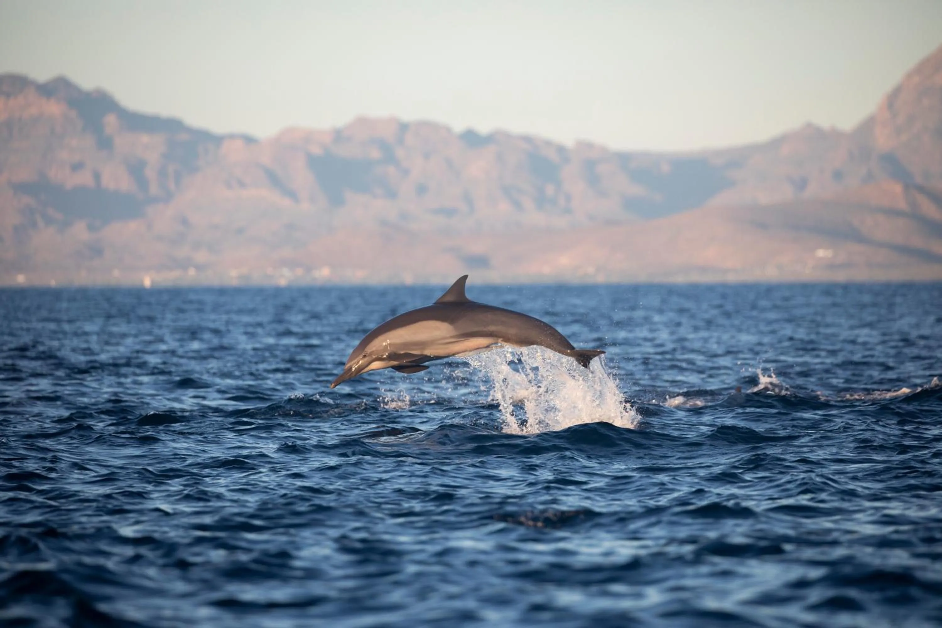 Day in Casa 1880 - Adults Only