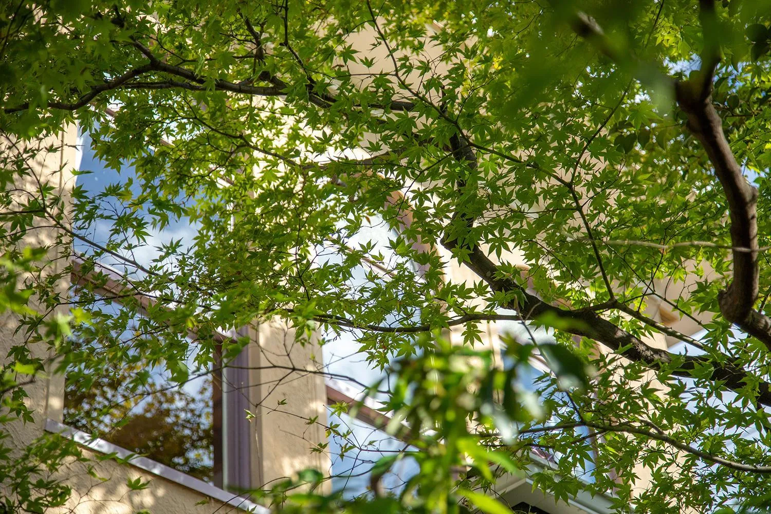 Garden in Hotel Utano Kyoto Besho