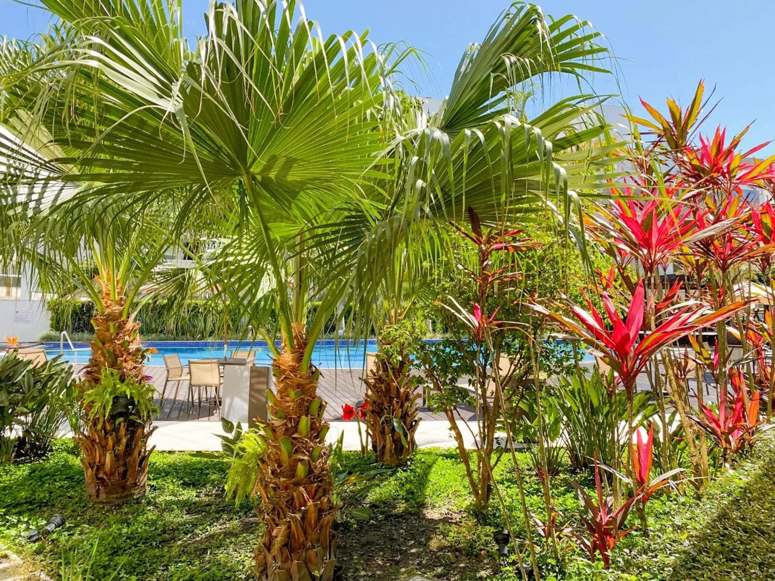 Lazer Conforto Jurere Florianópolis Santa Catarina