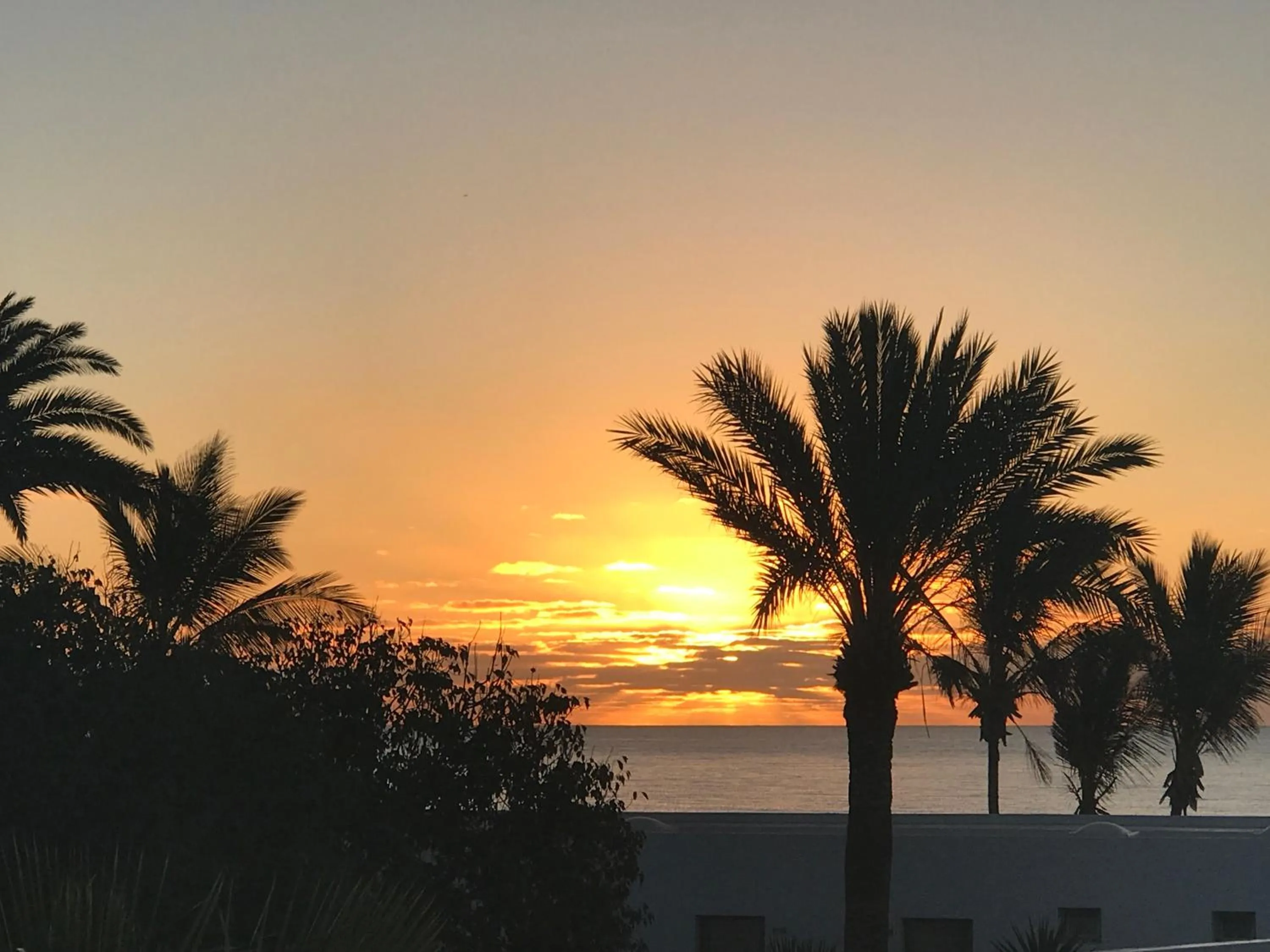 Sea view in Hotel Las Costas