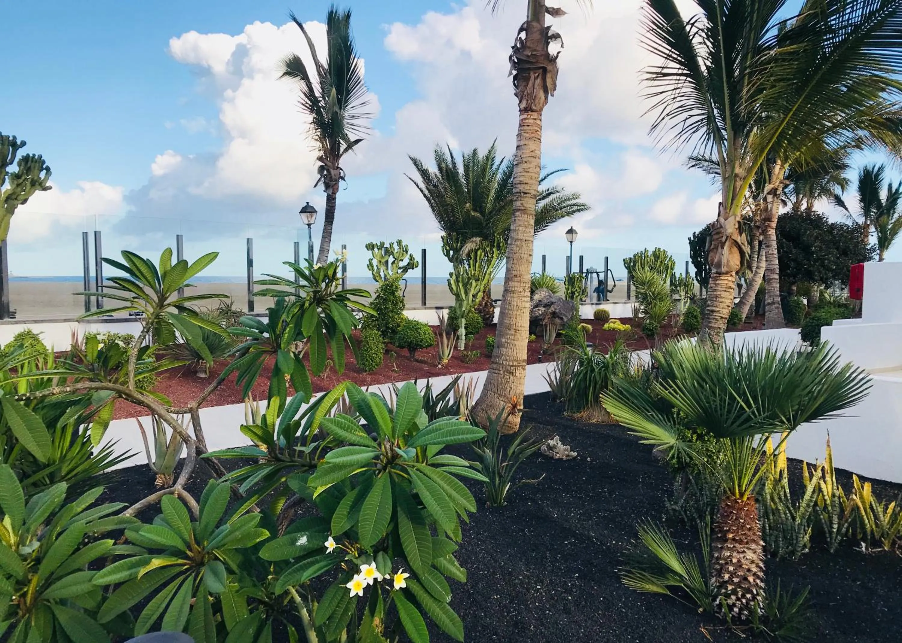 Garden view in Hotel Las Costas
