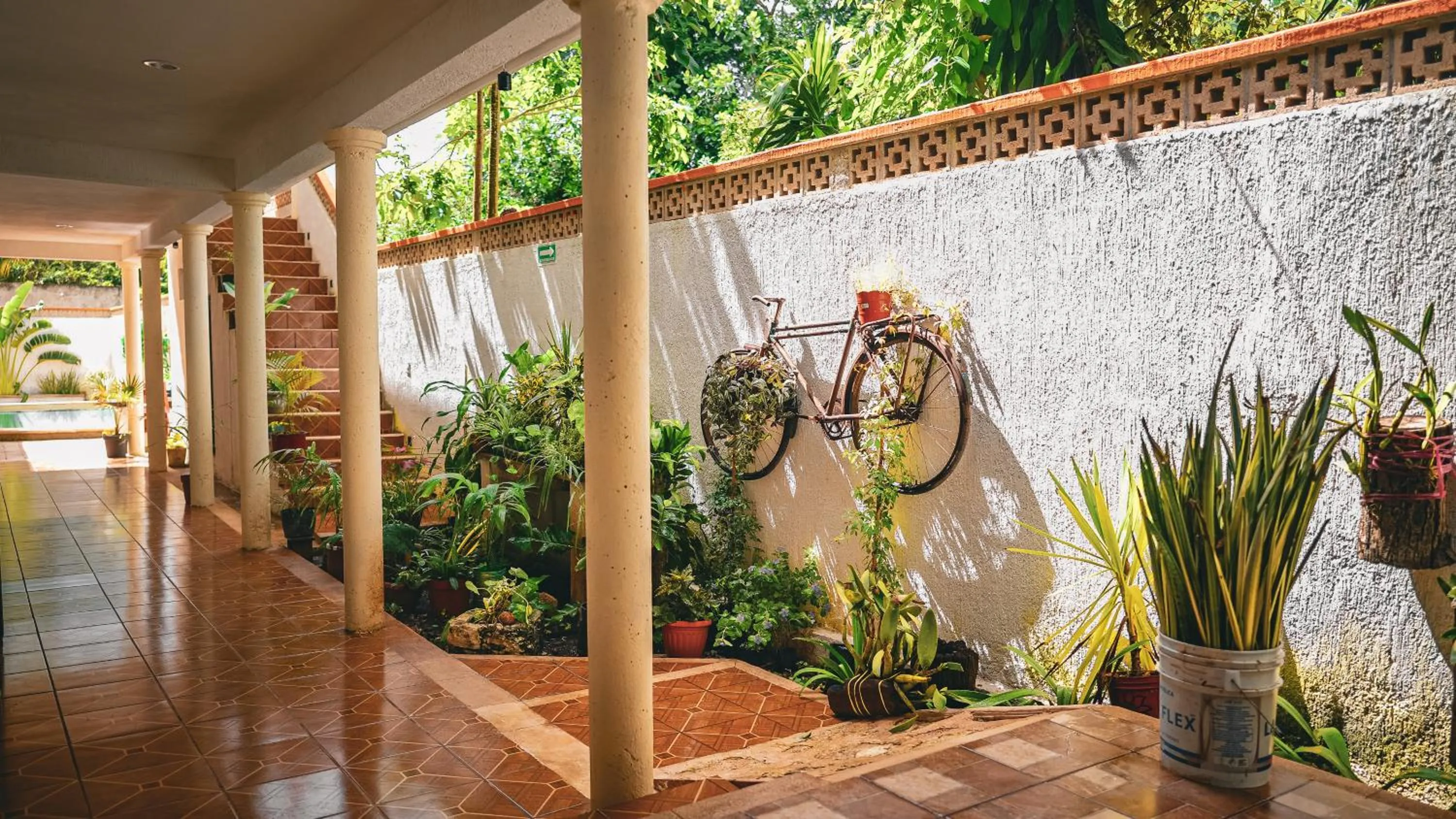 Garden in Hotel del Parque