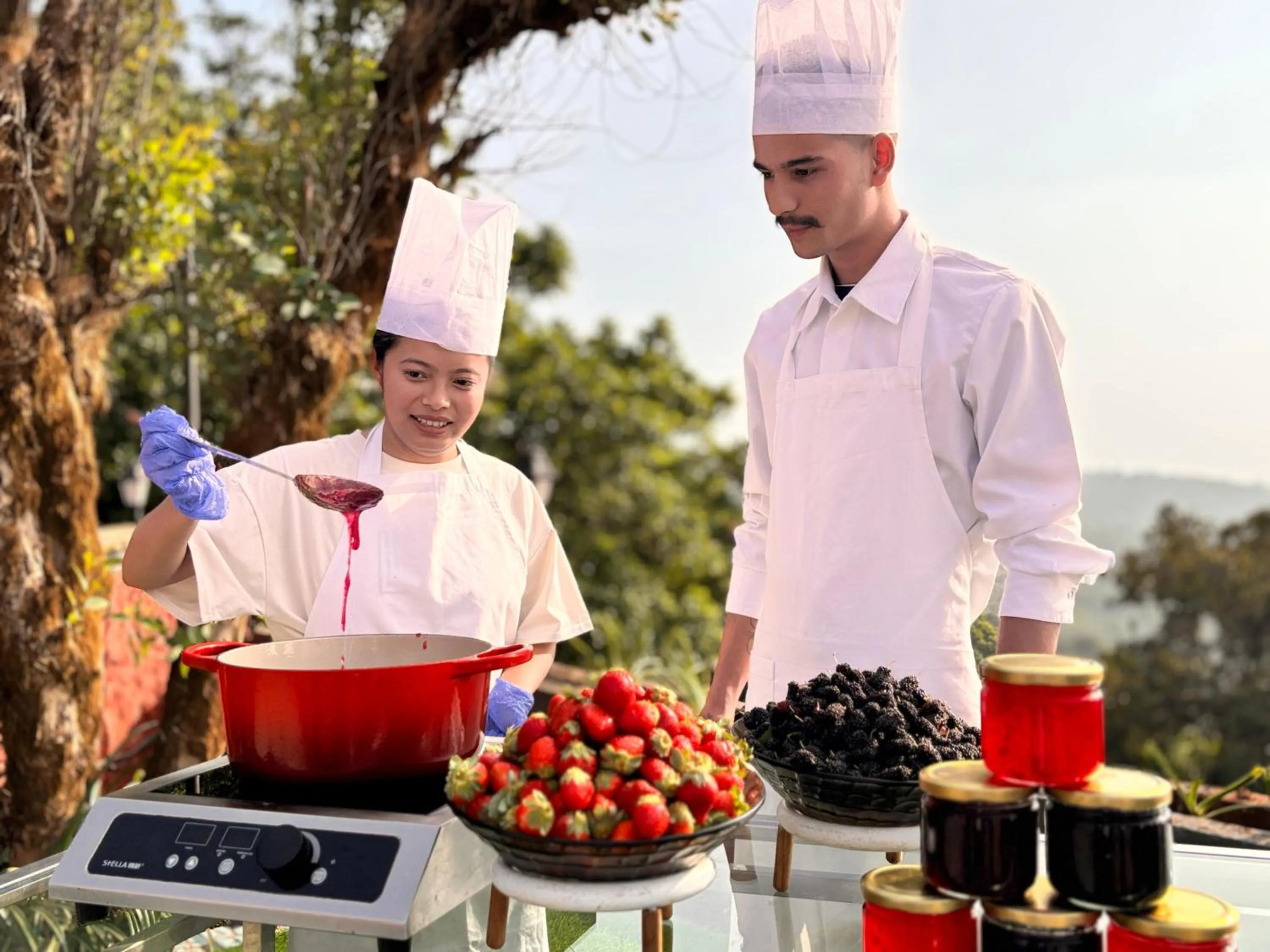 Day in Fountain, Mahabaleshwar - IHCL SeleQtions