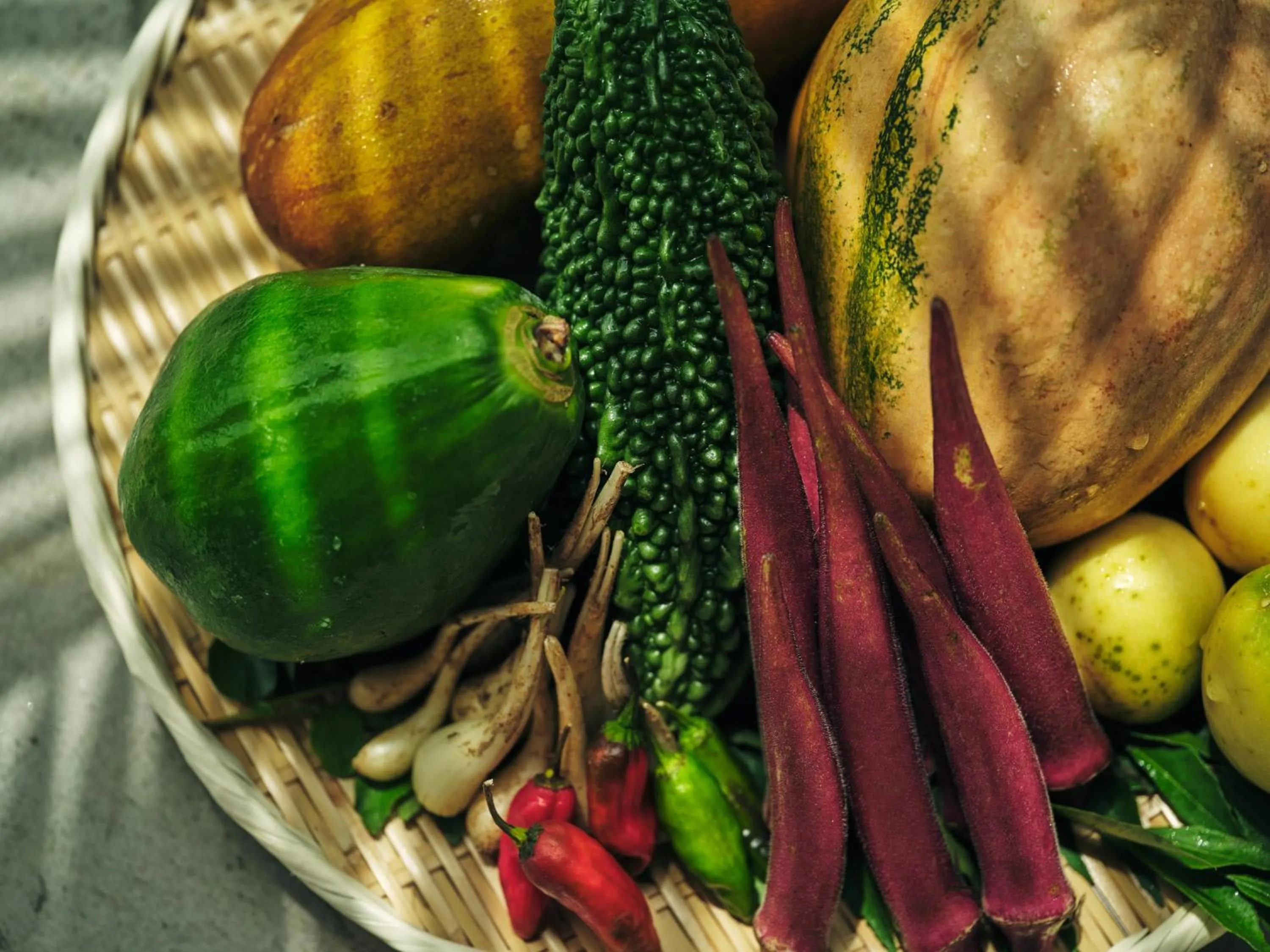 Other in YAWN YARD Kouri Island