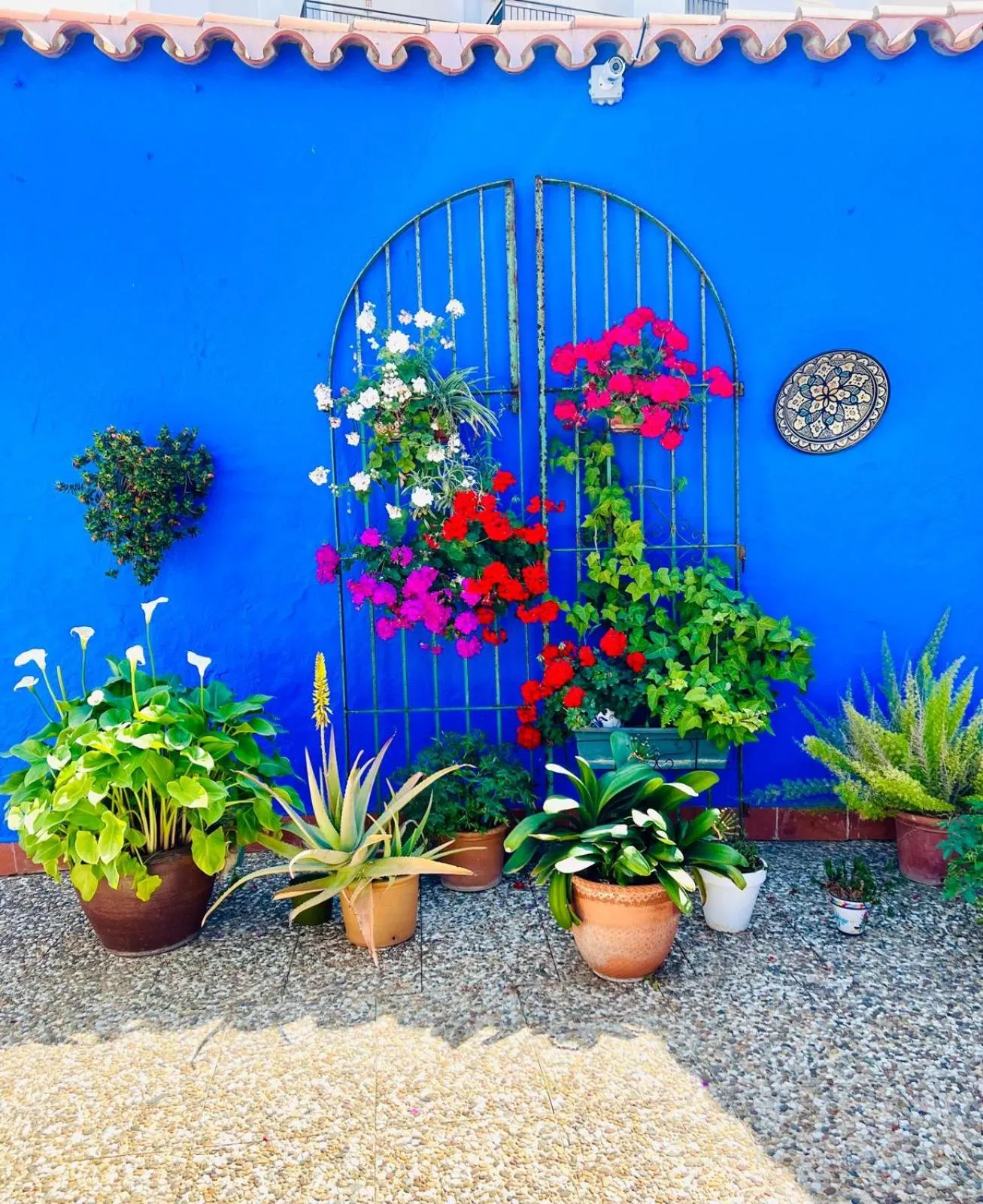Patio in Hostal El Faro