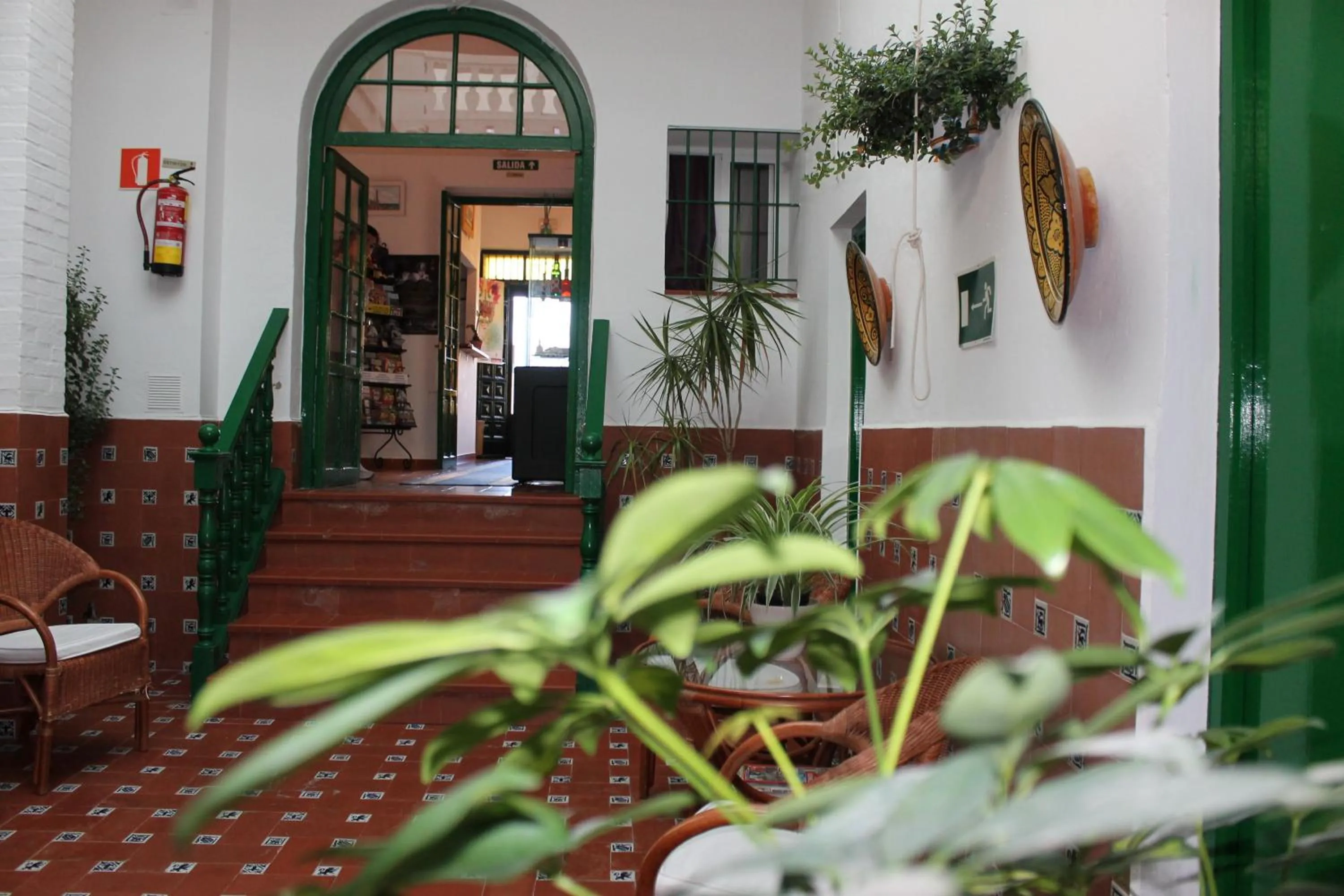 Garden in Hostal El Faro